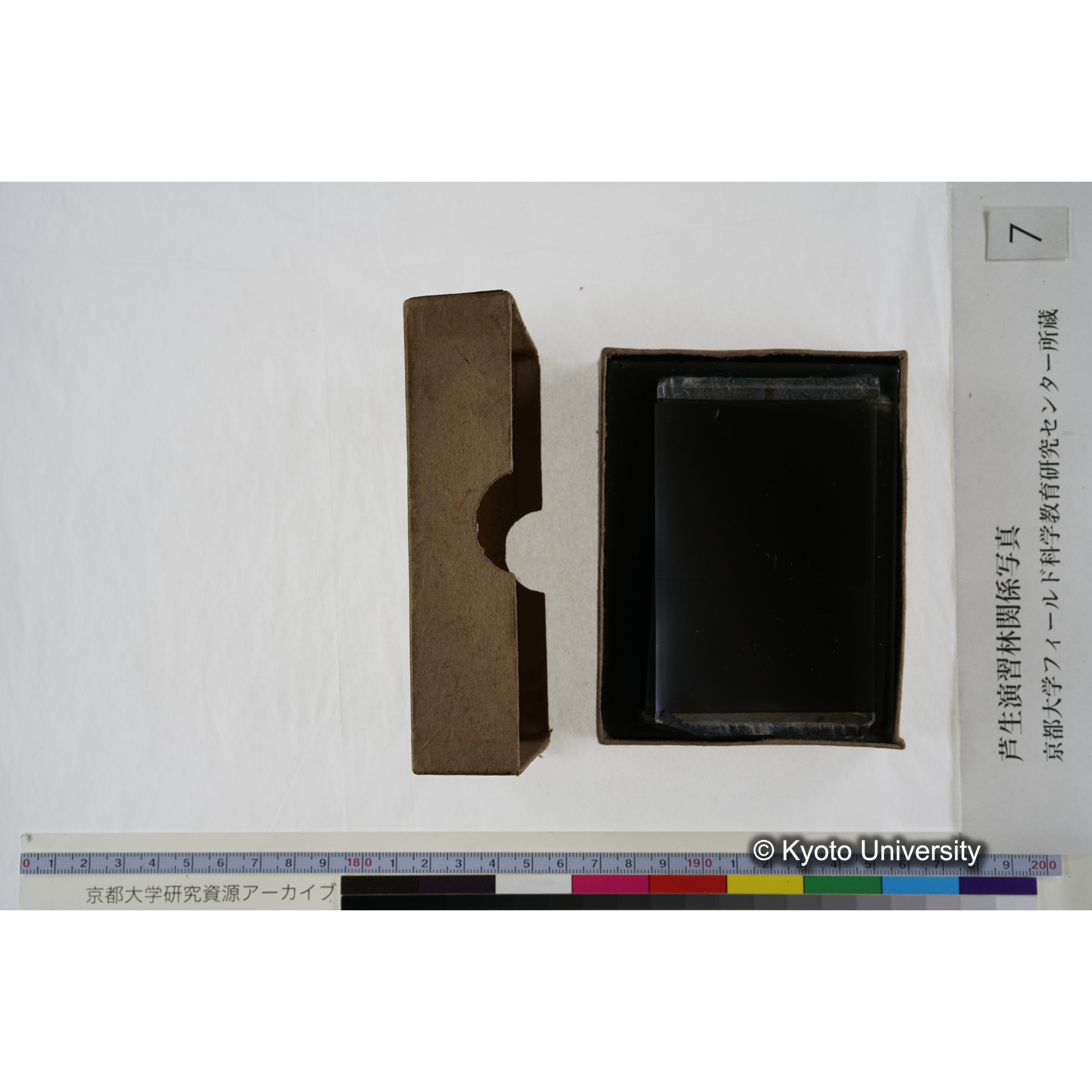 [箱]昭和廿六年度 須知苗圃施肥試験 一 (5)