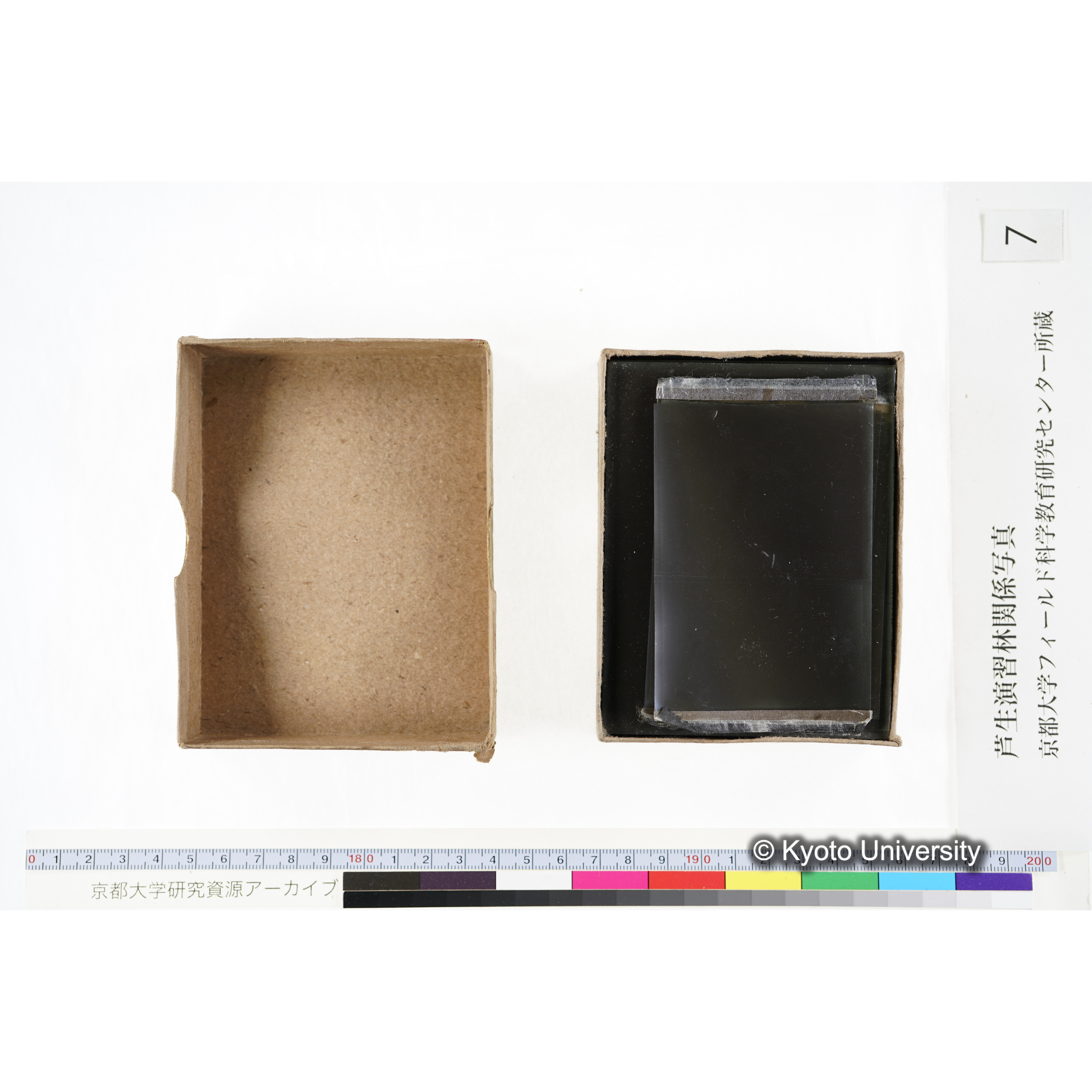 [箱]昭和廿六年度 須知苗圃施肥試験 一 (6)