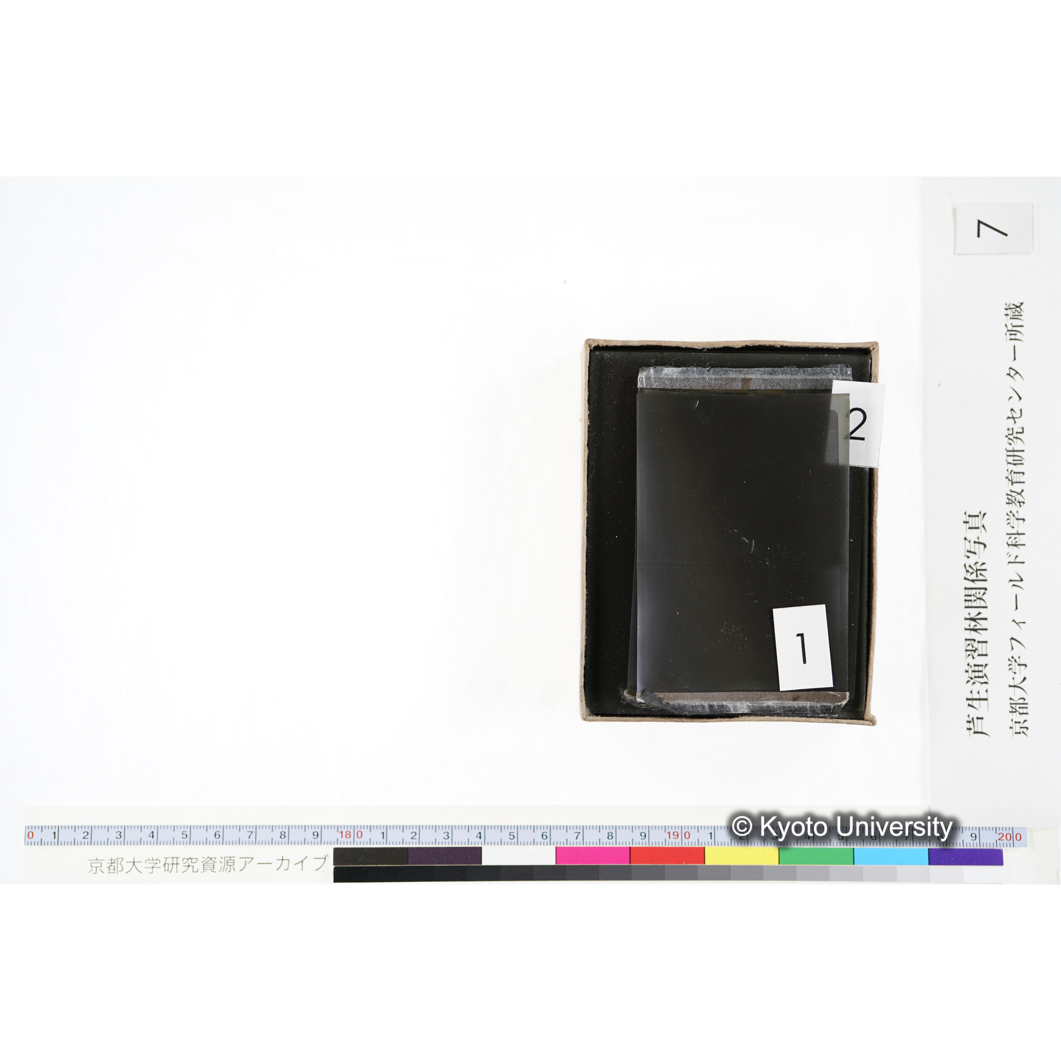 [箱]昭和廿六年度 須知苗圃施肥試験 一 (7)