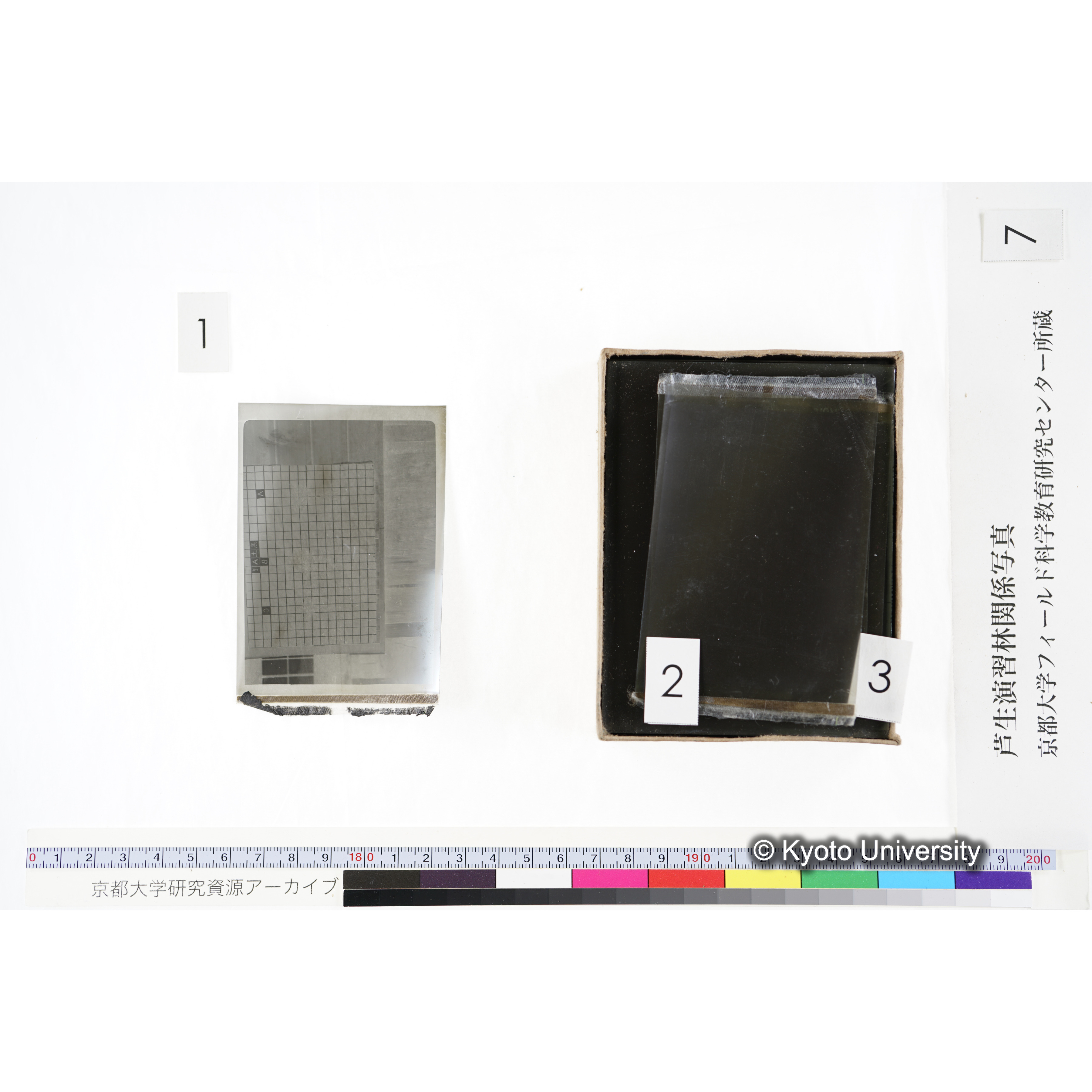 [箱]昭和廿六年度 須知苗圃施肥試験 一 (8)