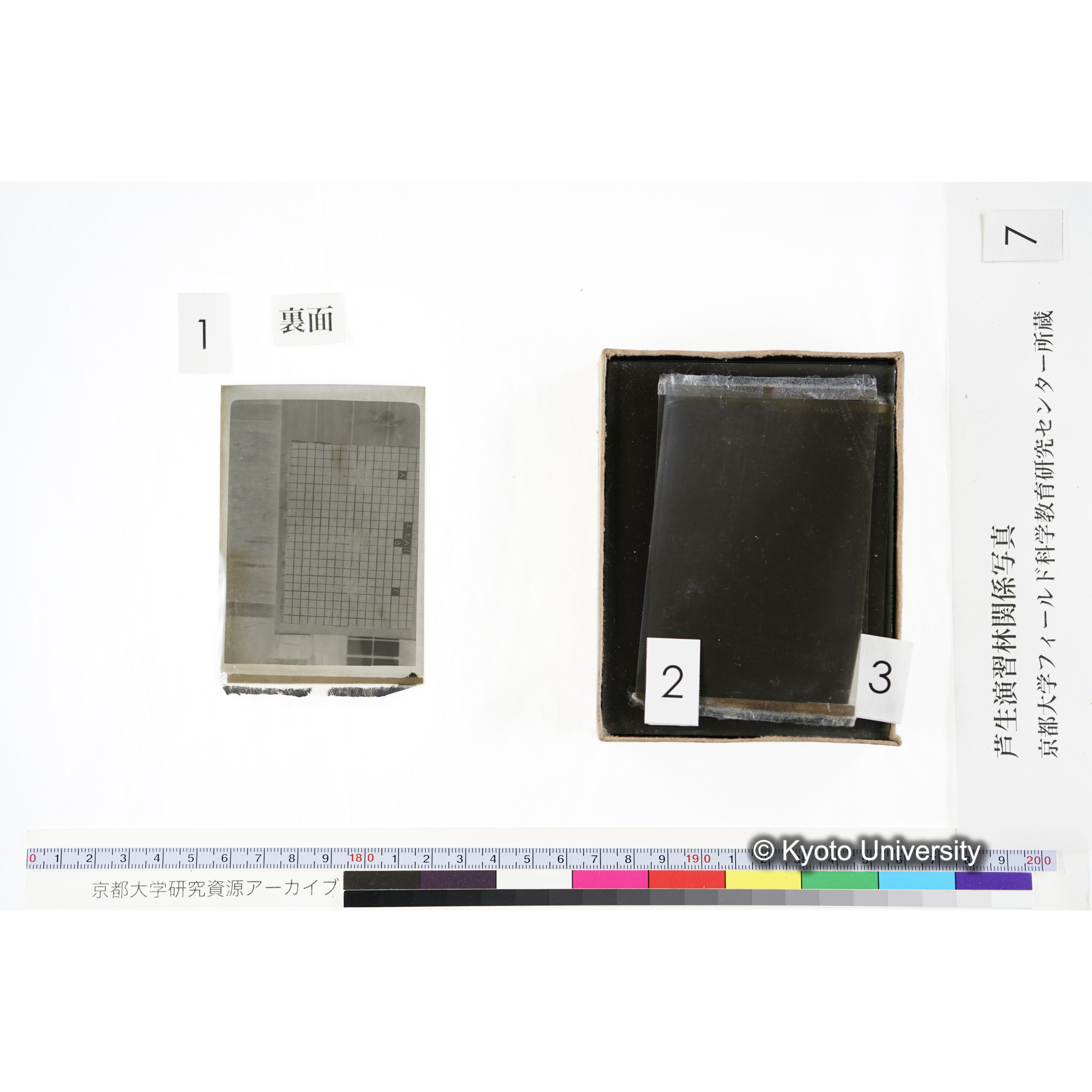 [箱]昭和廿六年度 須知苗圃施肥試験 一 (9)