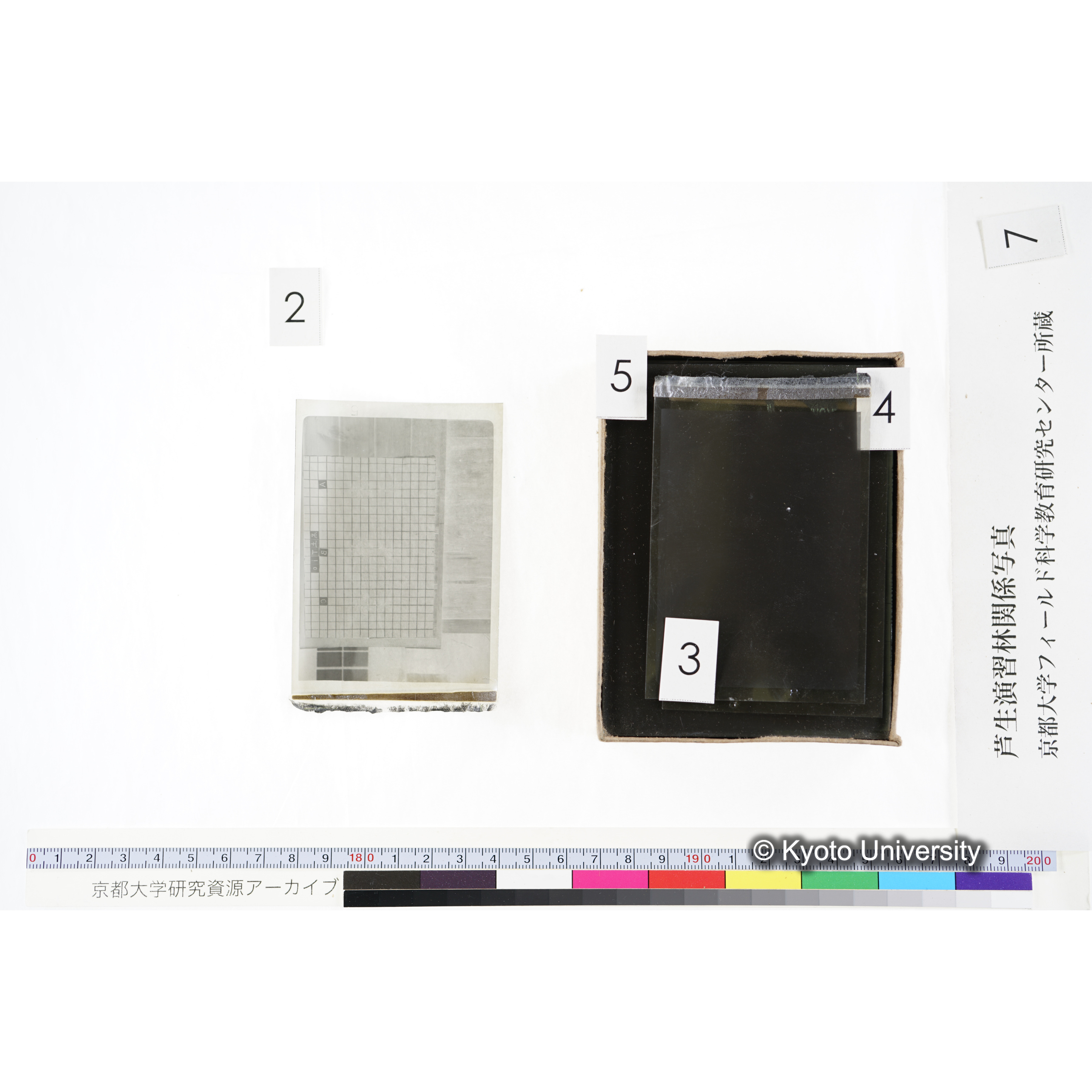 [箱]昭和廿六年度 須知苗圃施肥試験 一 (10)