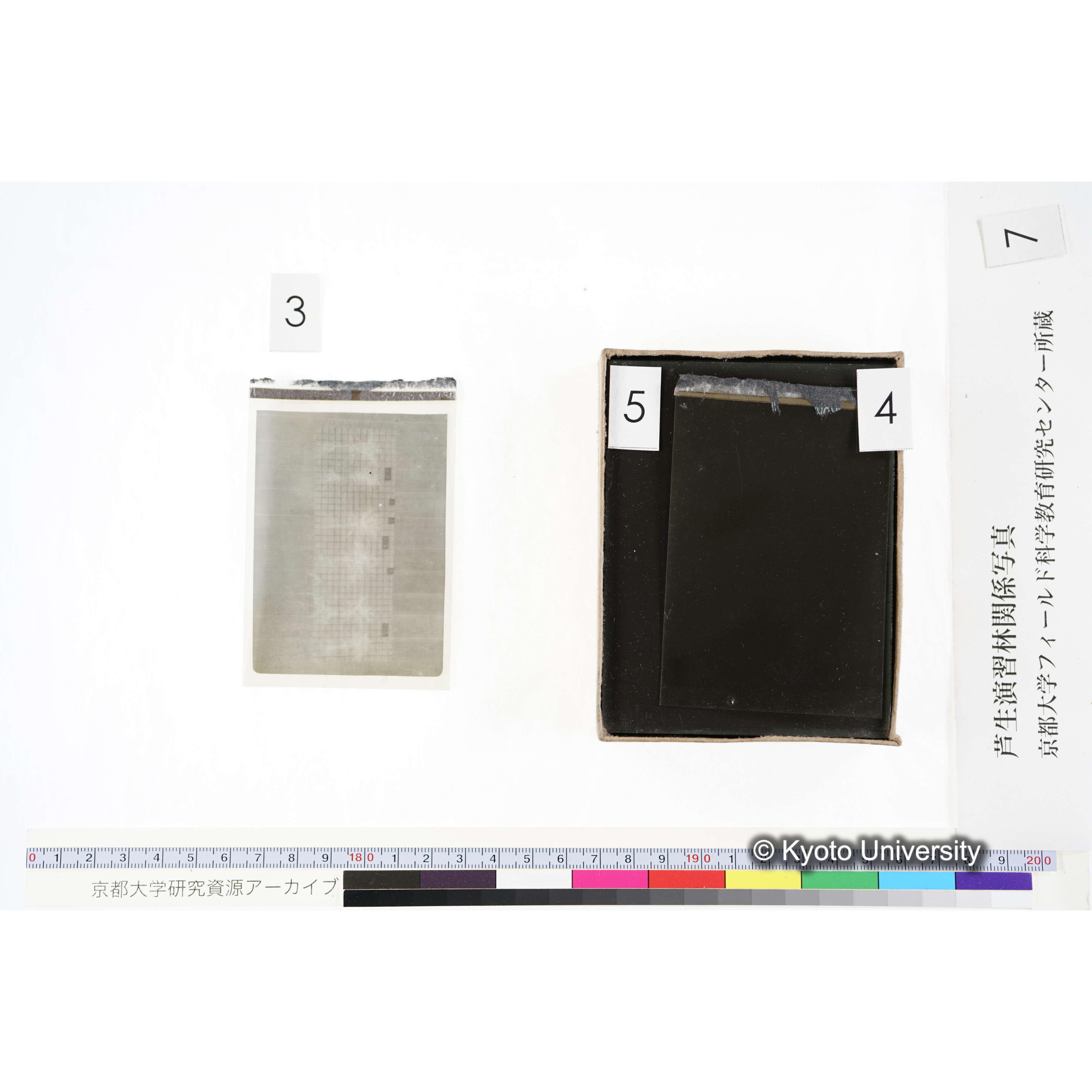 [箱]昭和廿六年度 須知苗圃施肥試験 一 (12)