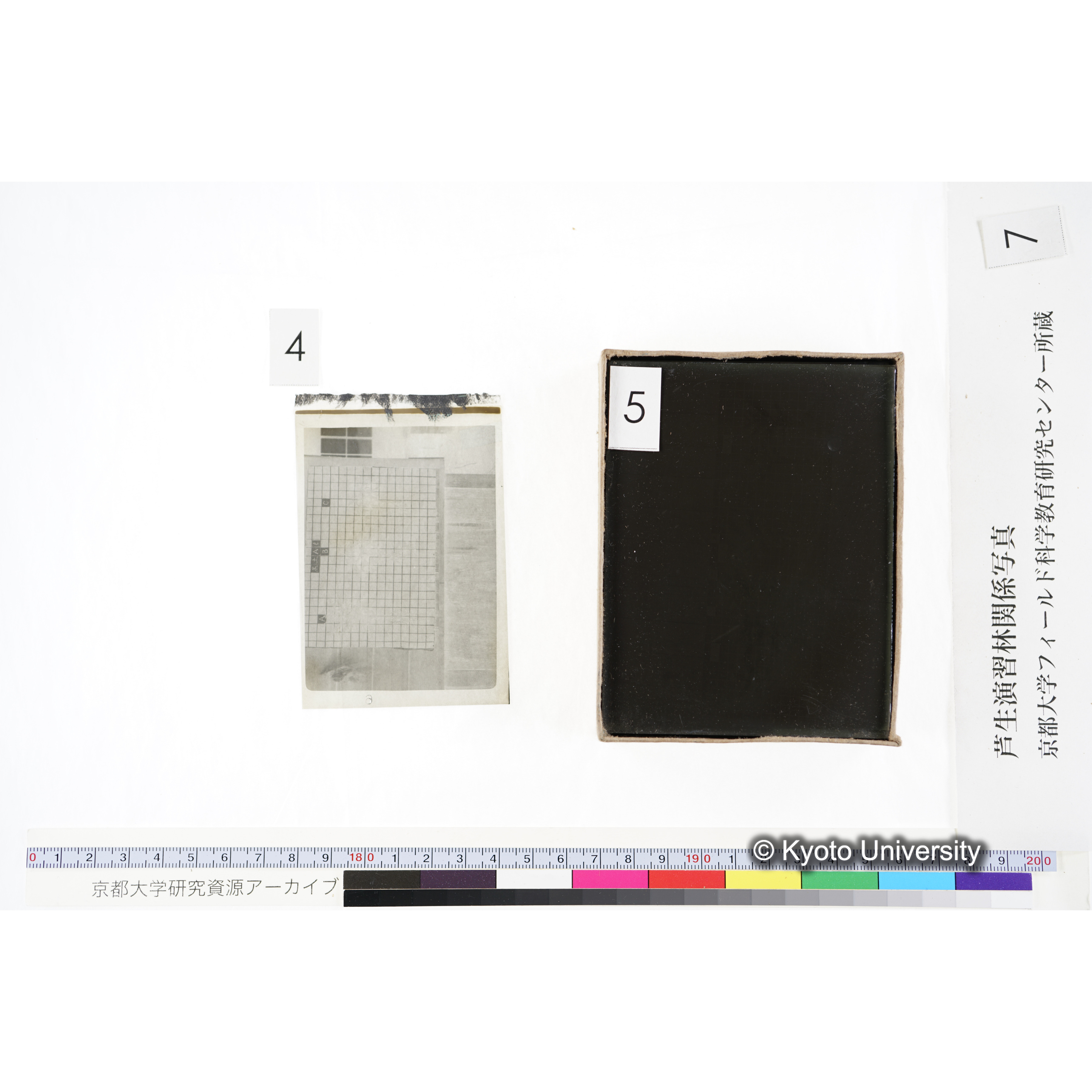 [箱]昭和廿六年度 須知苗圃施肥試験 一 (14)