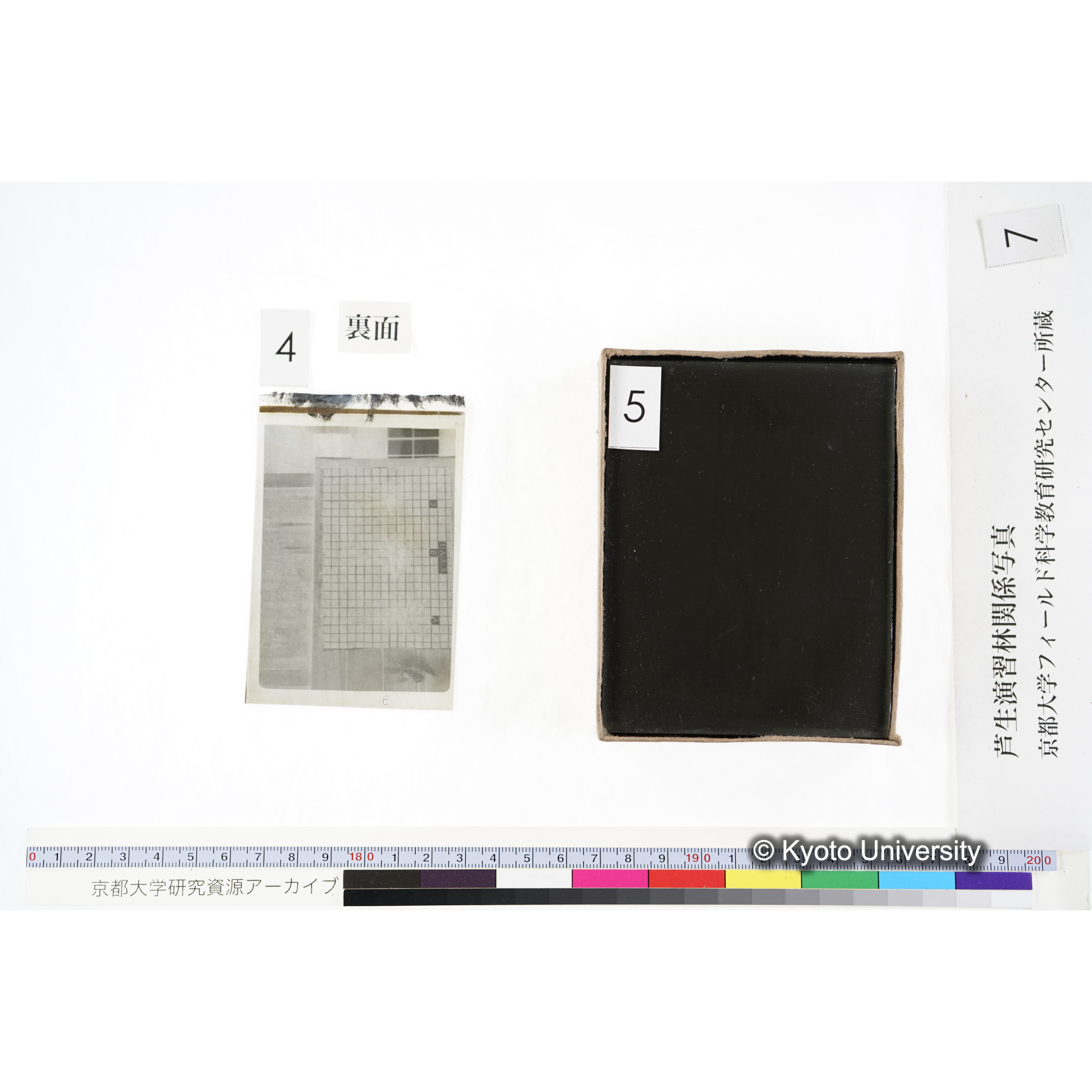 [箱]昭和廿六年度 須知苗圃施肥試験 一 (15)