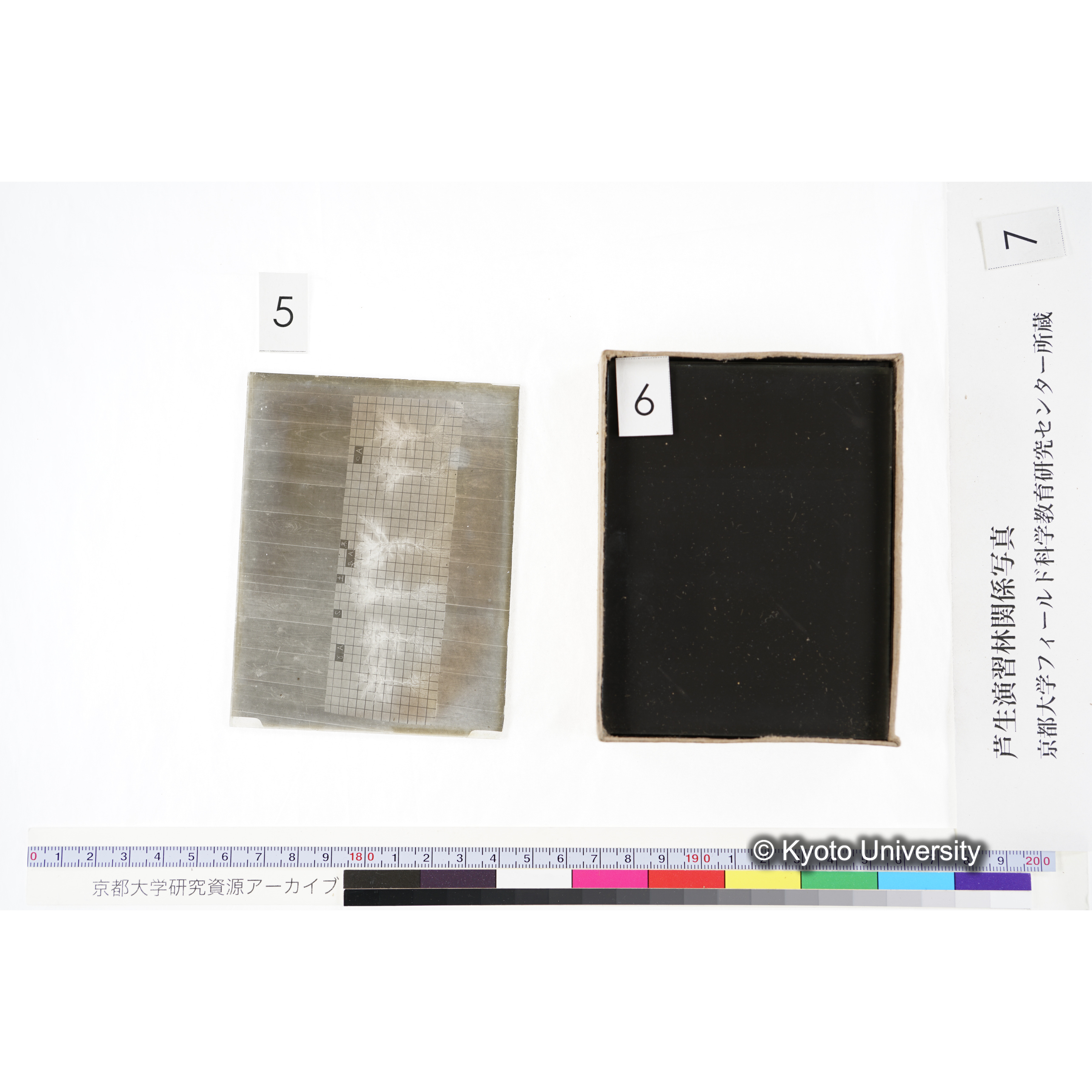 [箱]昭和廿六年度 須知苗圃施肥試験 一 (16)