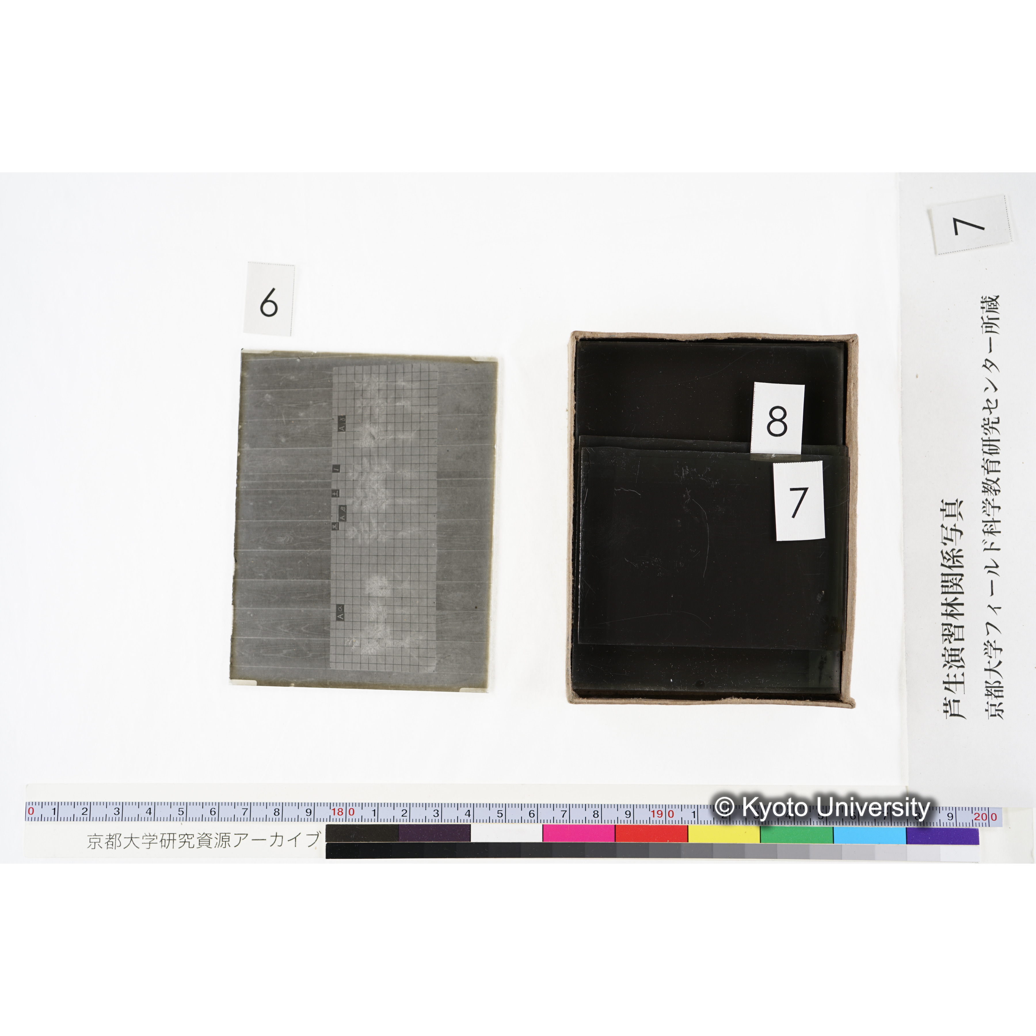 [箱]昭和廿六年度 須知苗圃施肥試験 一 (18)