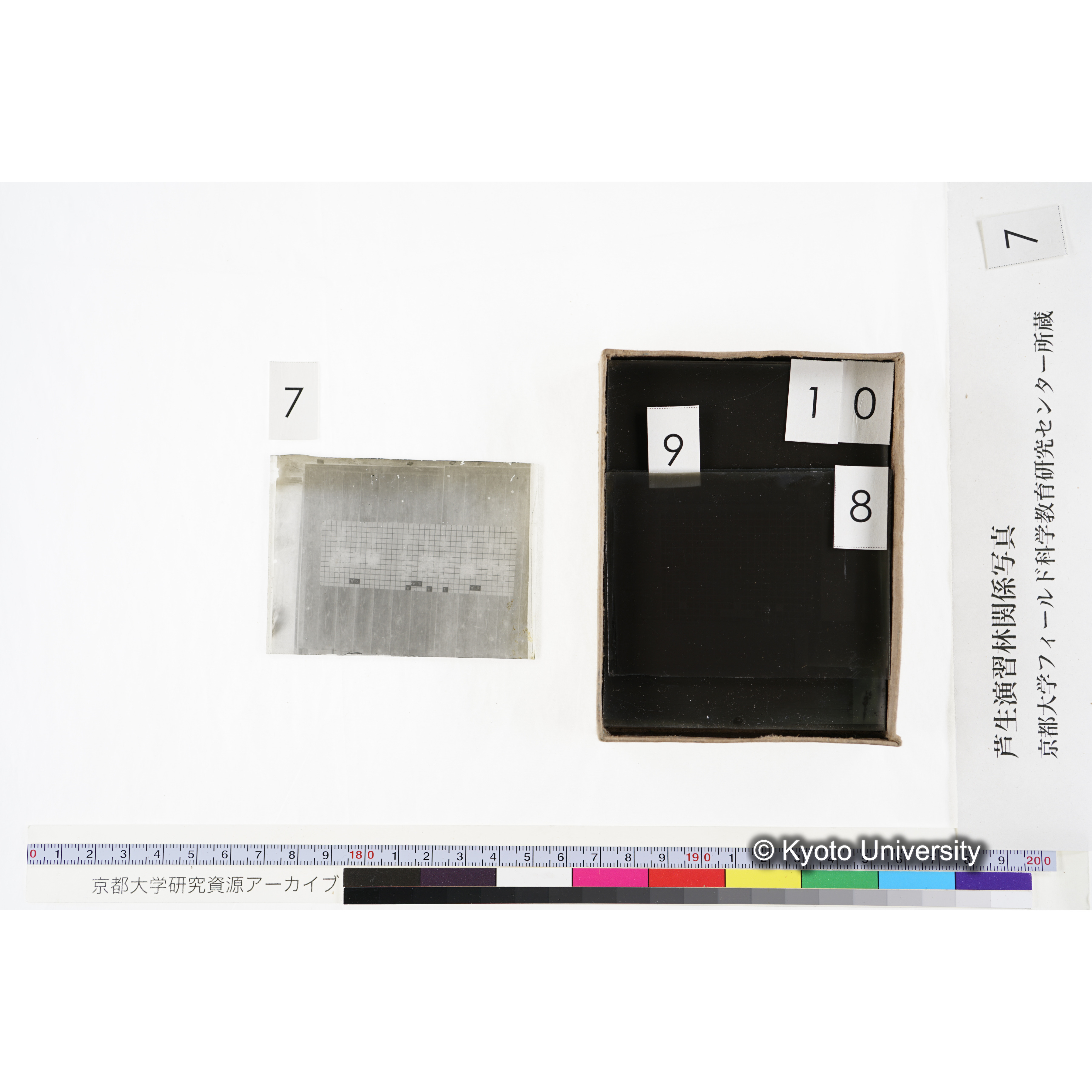 [箱]昭和廿六年度 須知苗圃施肥試験 一 (20)