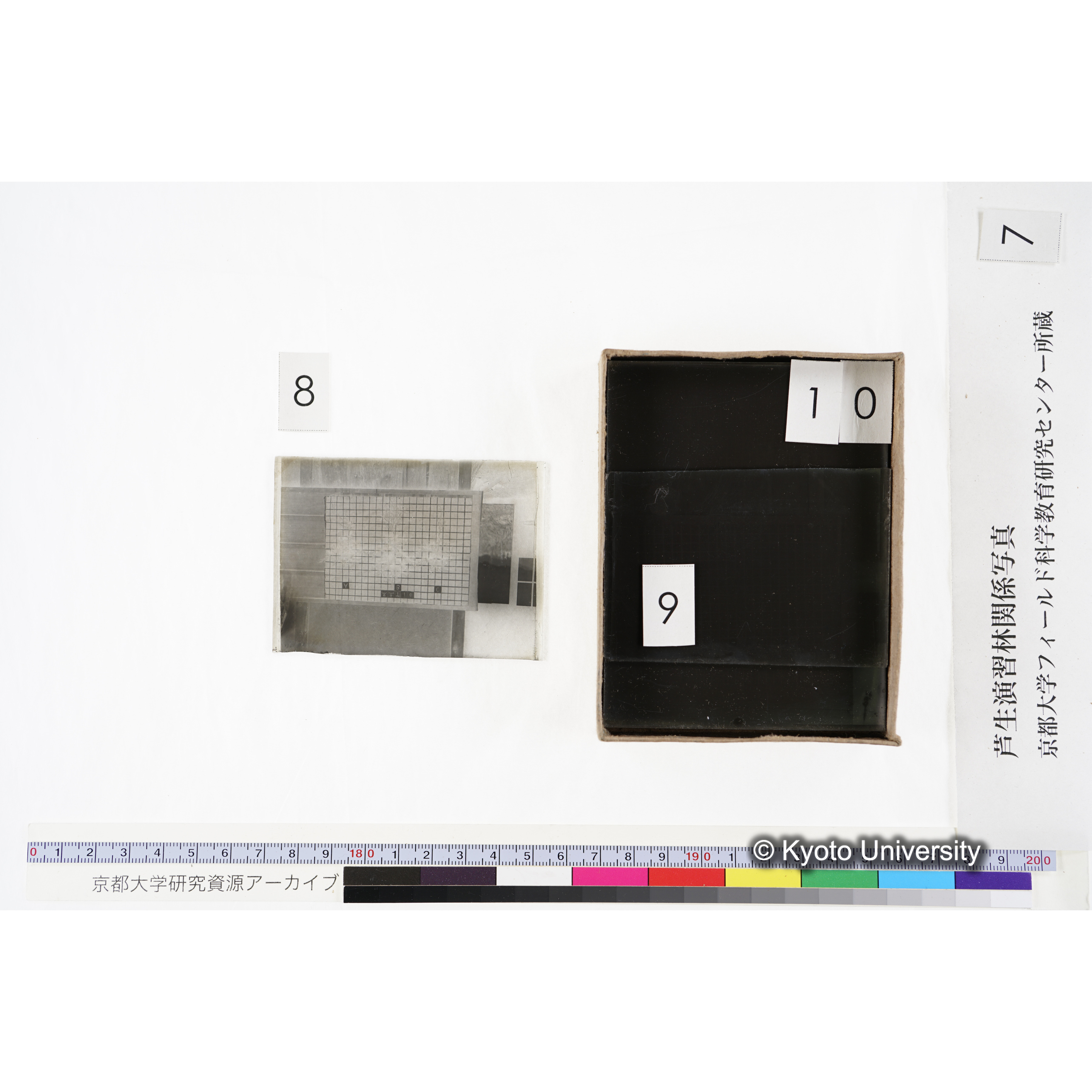 [箱]昭和廿六年度 須知苗圃施肥試験 一 (22)