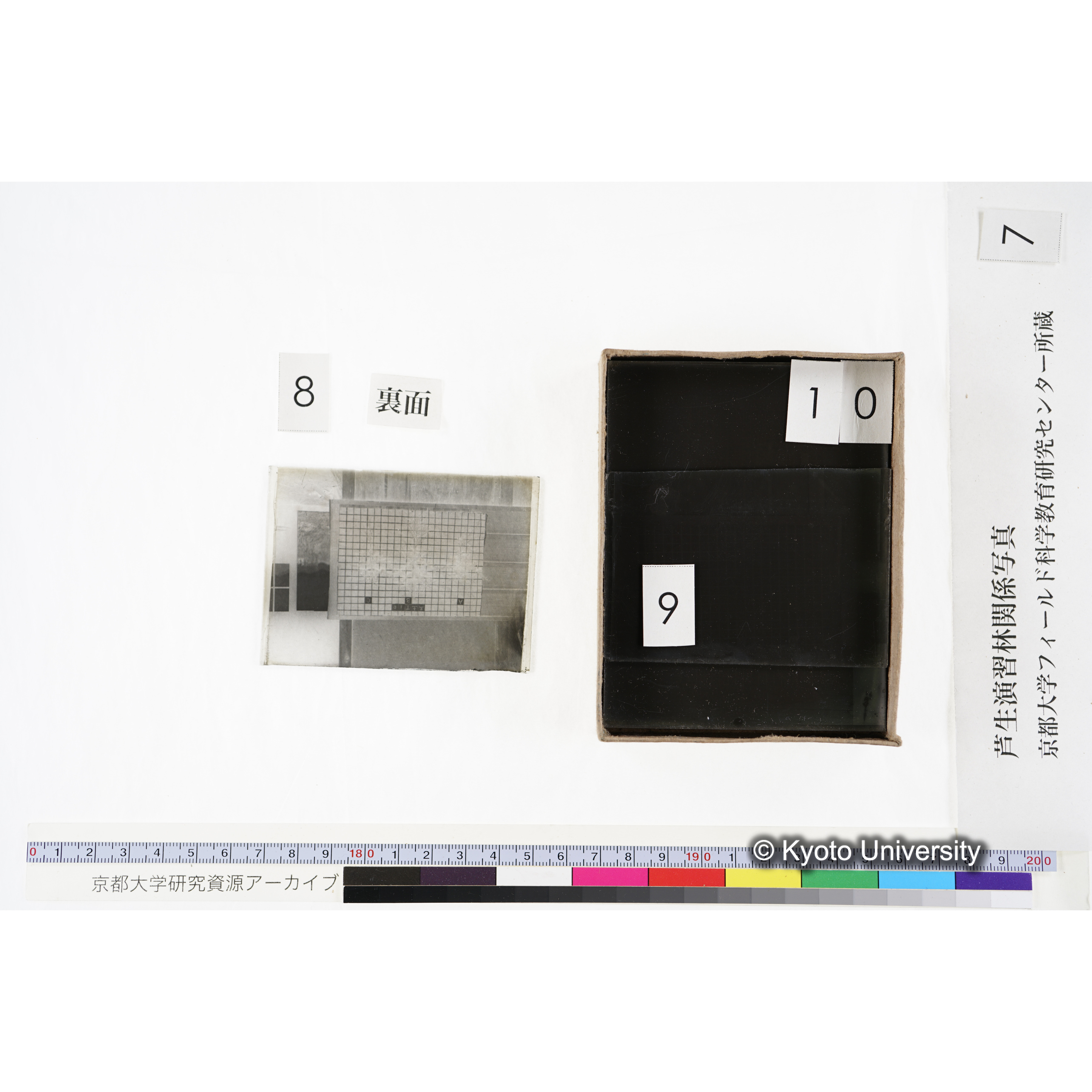 [箱]昭和廿六年度 須知苗圃施肥試験 一 (23)