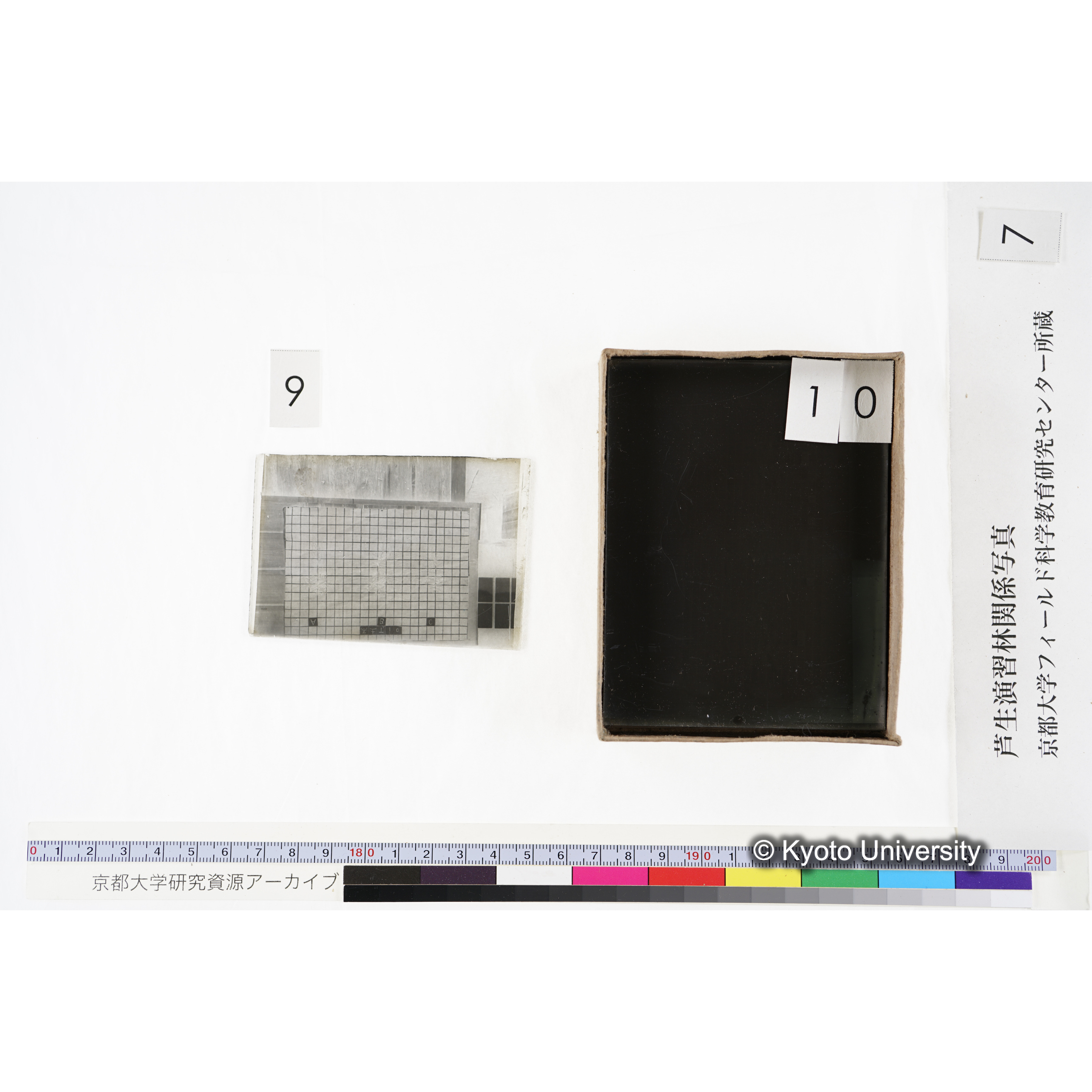 [箱]昭和廿六年度 須知苗圃施肥試験 一 (24)