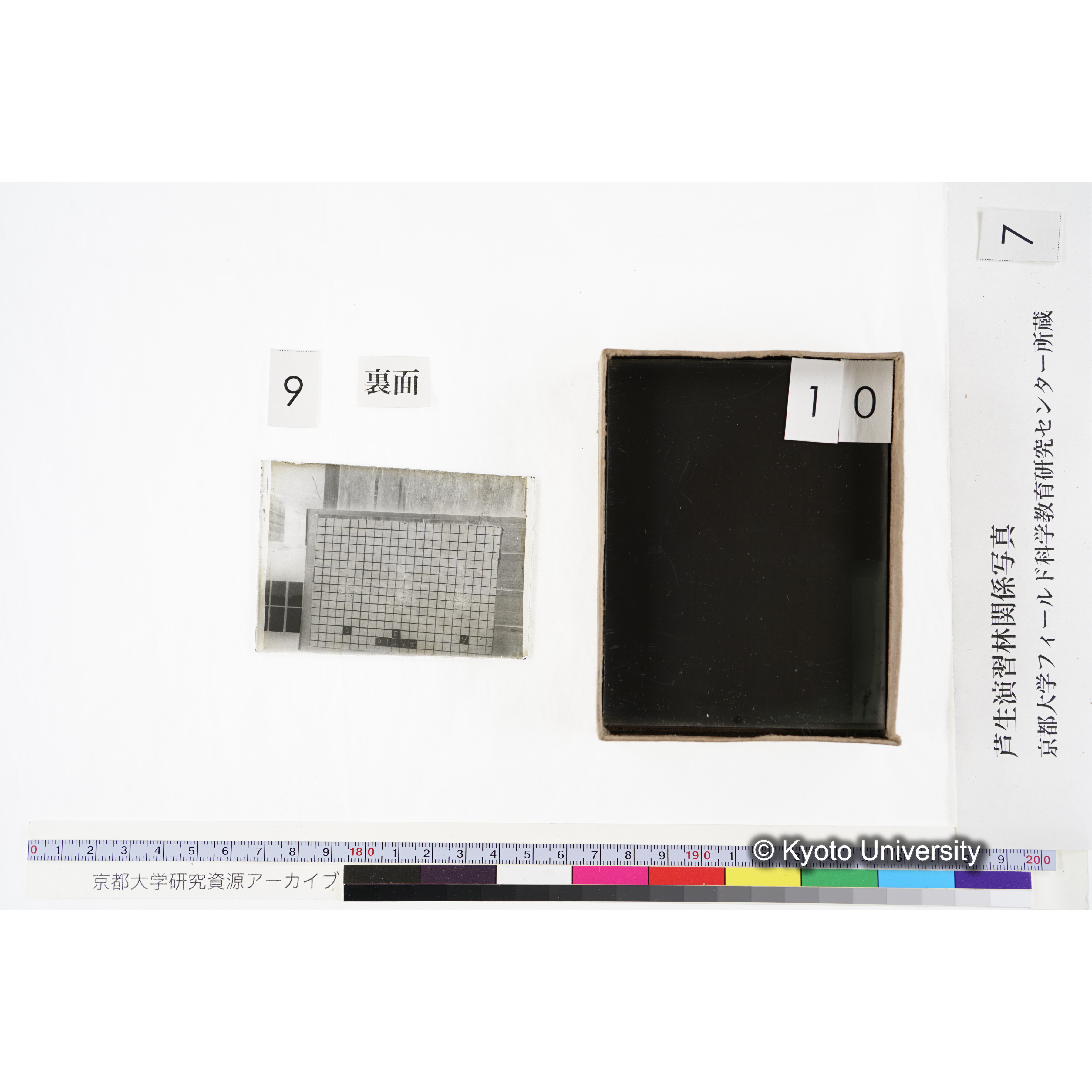 [箱]昭和廿六年度 須知苗圃施肥試験 一 (25)