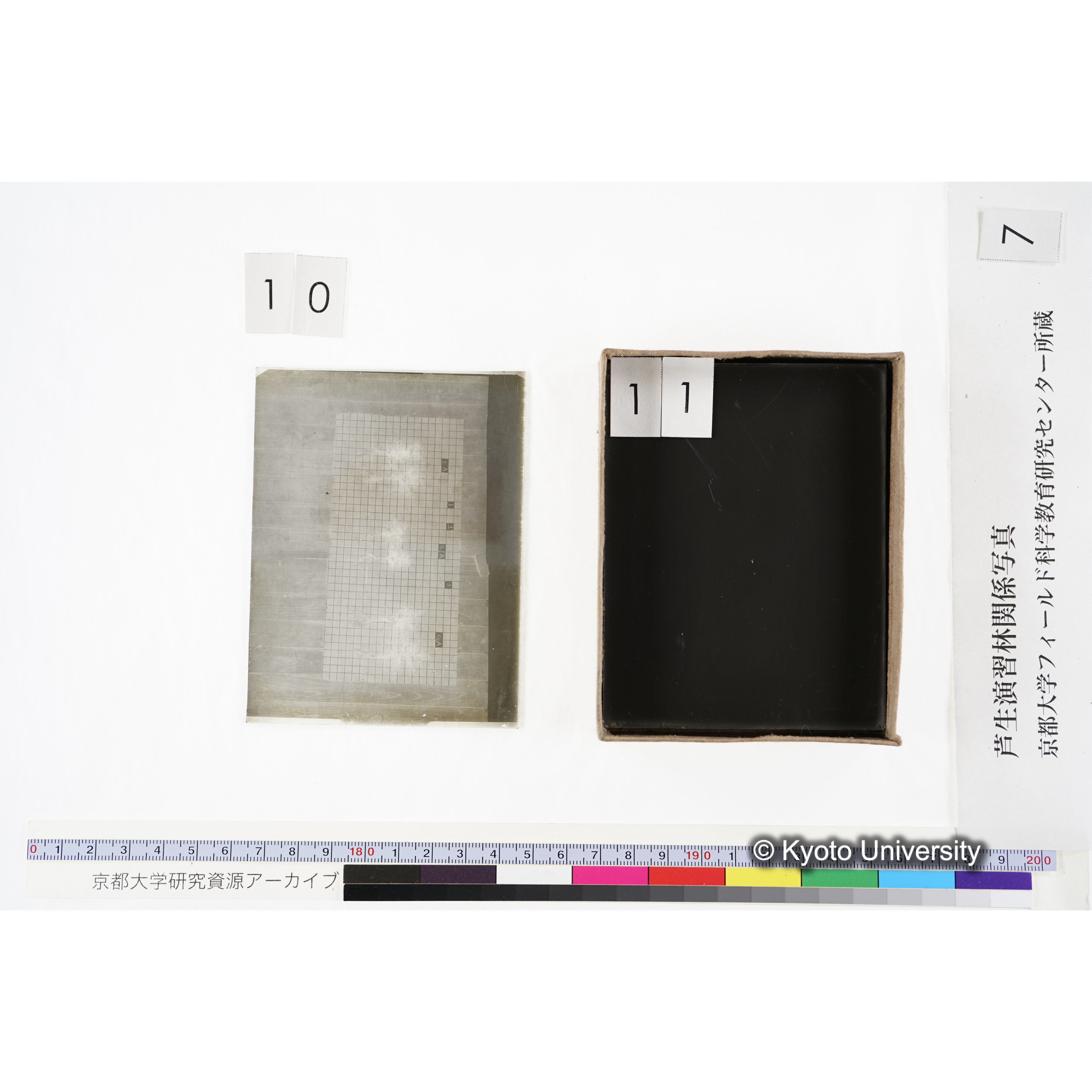 [箱]昭和廿六年度 須知苗圃施肥試験 一 (26)