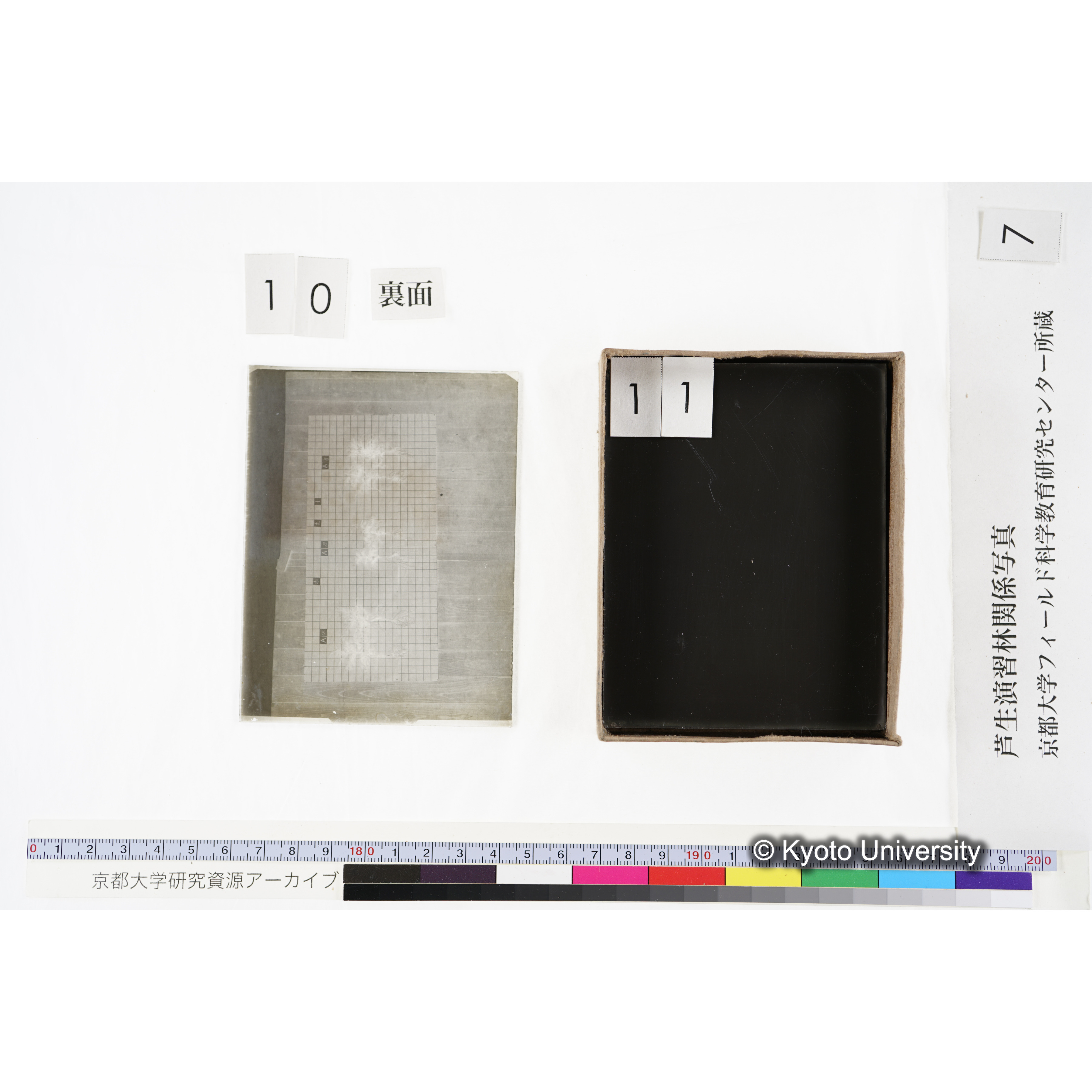 [箱]昭和廿六年度 須知苗圃施肥試験 一 (27)