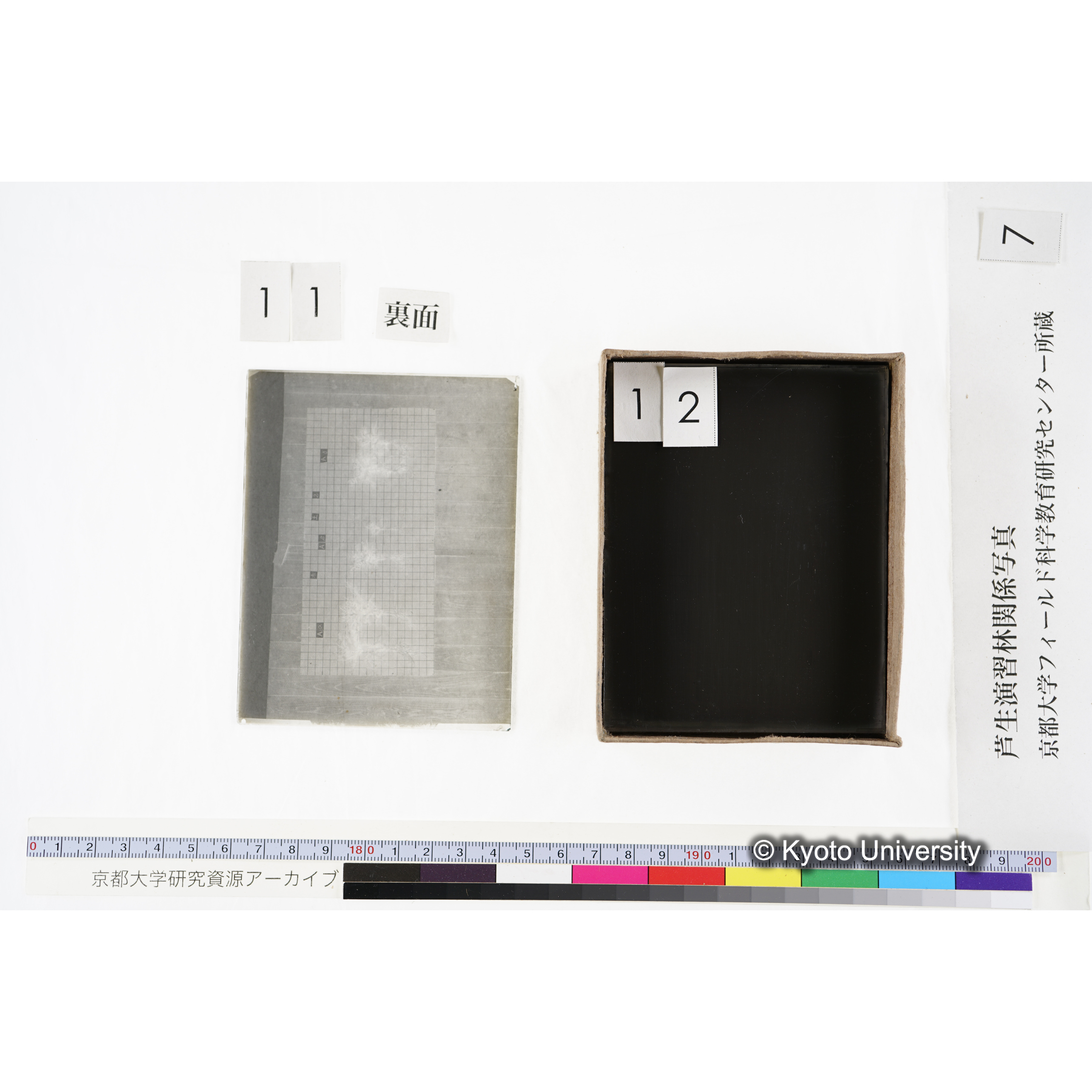 [箱]昭和廿六年度 須知苗圃施肥試験 一 (29)