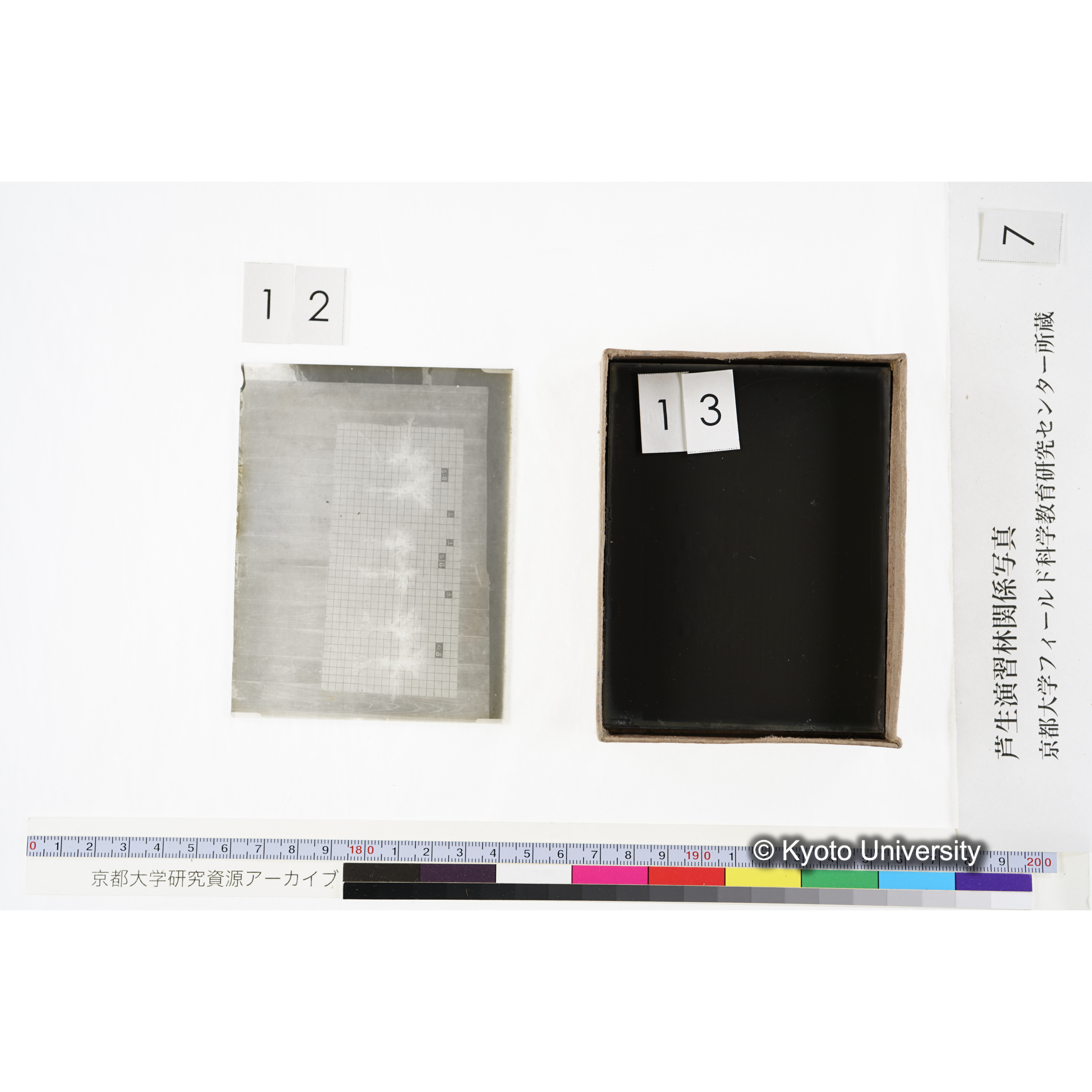 [箱]昭和廿六年度 須知苗圃施肥試験 一 (30)