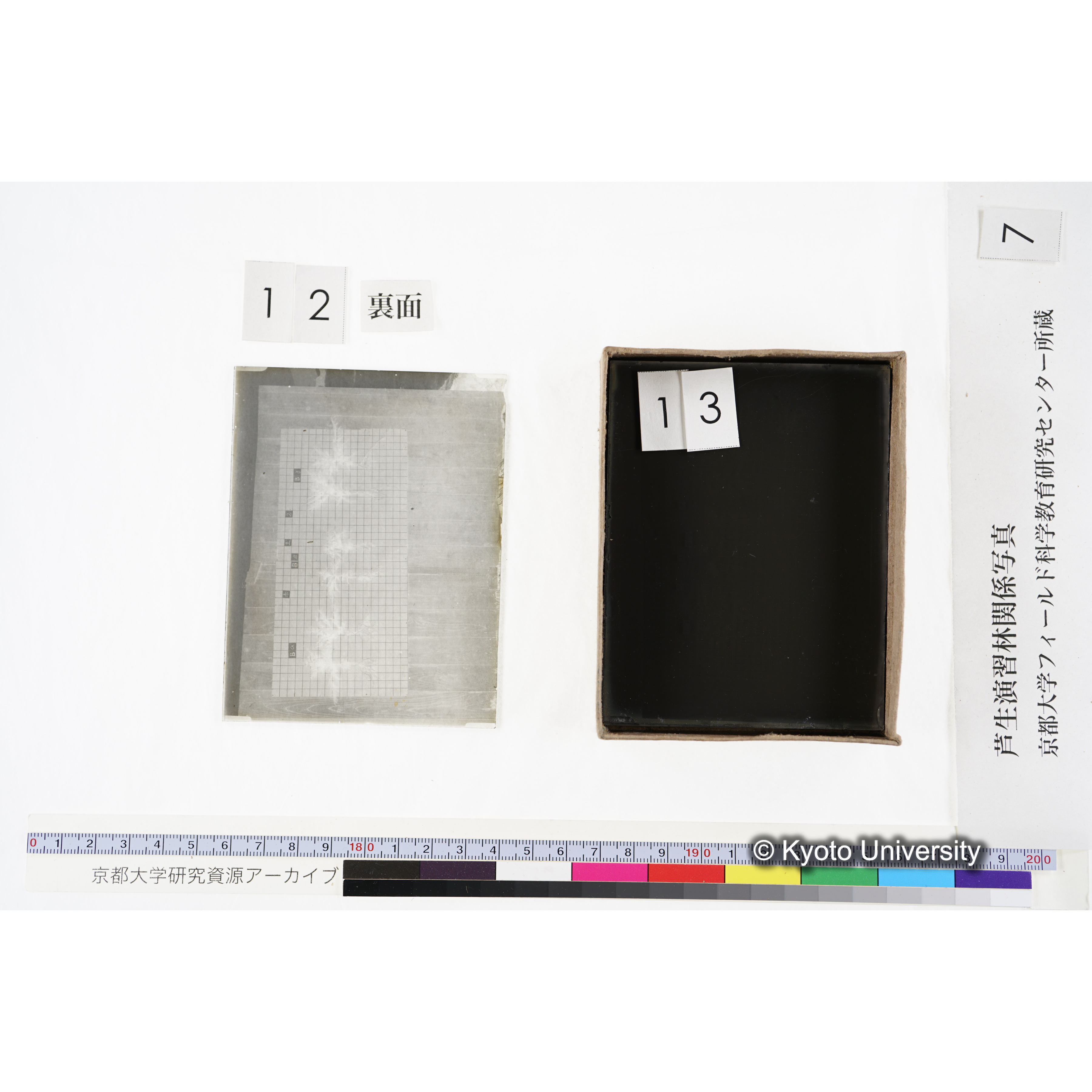 [箱]昭和廿六年度 須知苗圃施肥試験 一 (31)