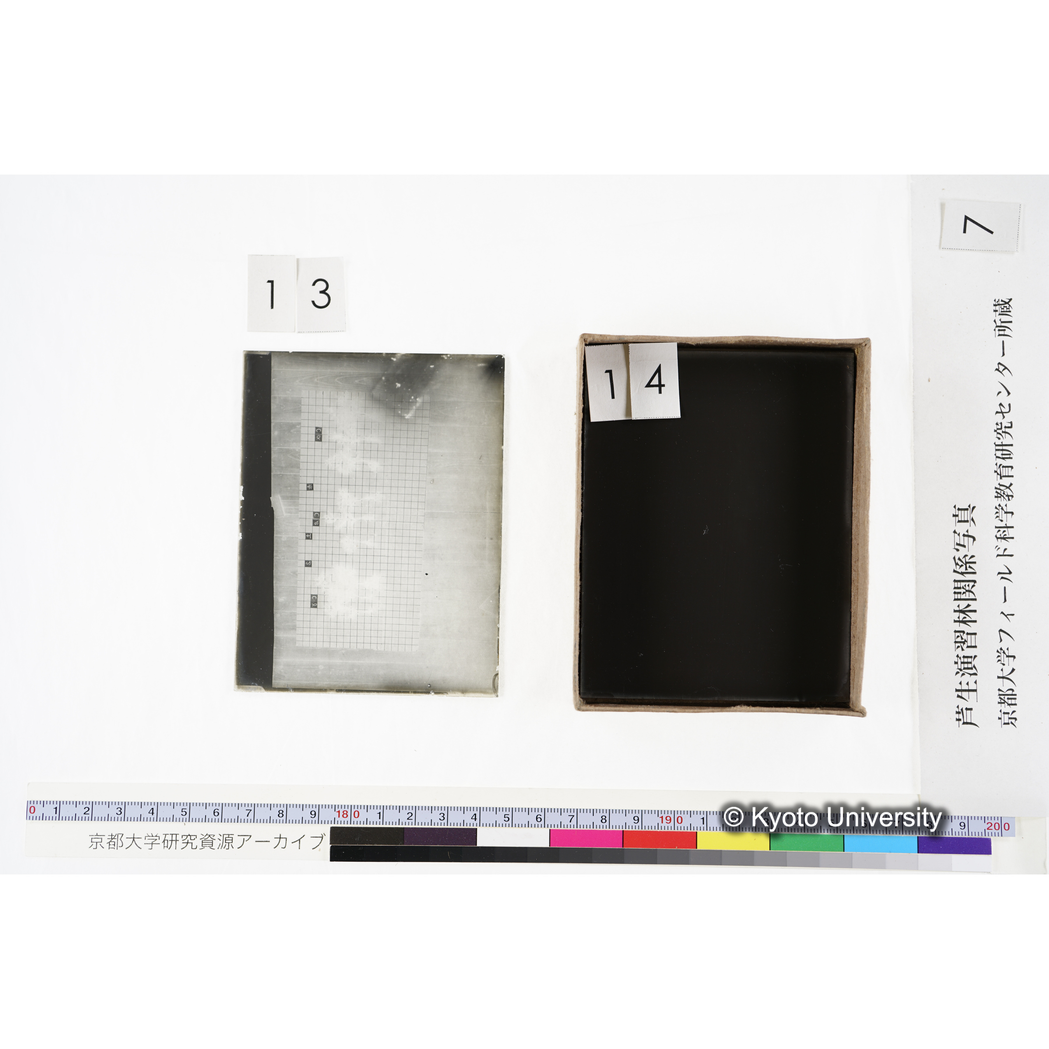 [箱]昭和廿六年度 須知苗圃施肥試験 一 (32)