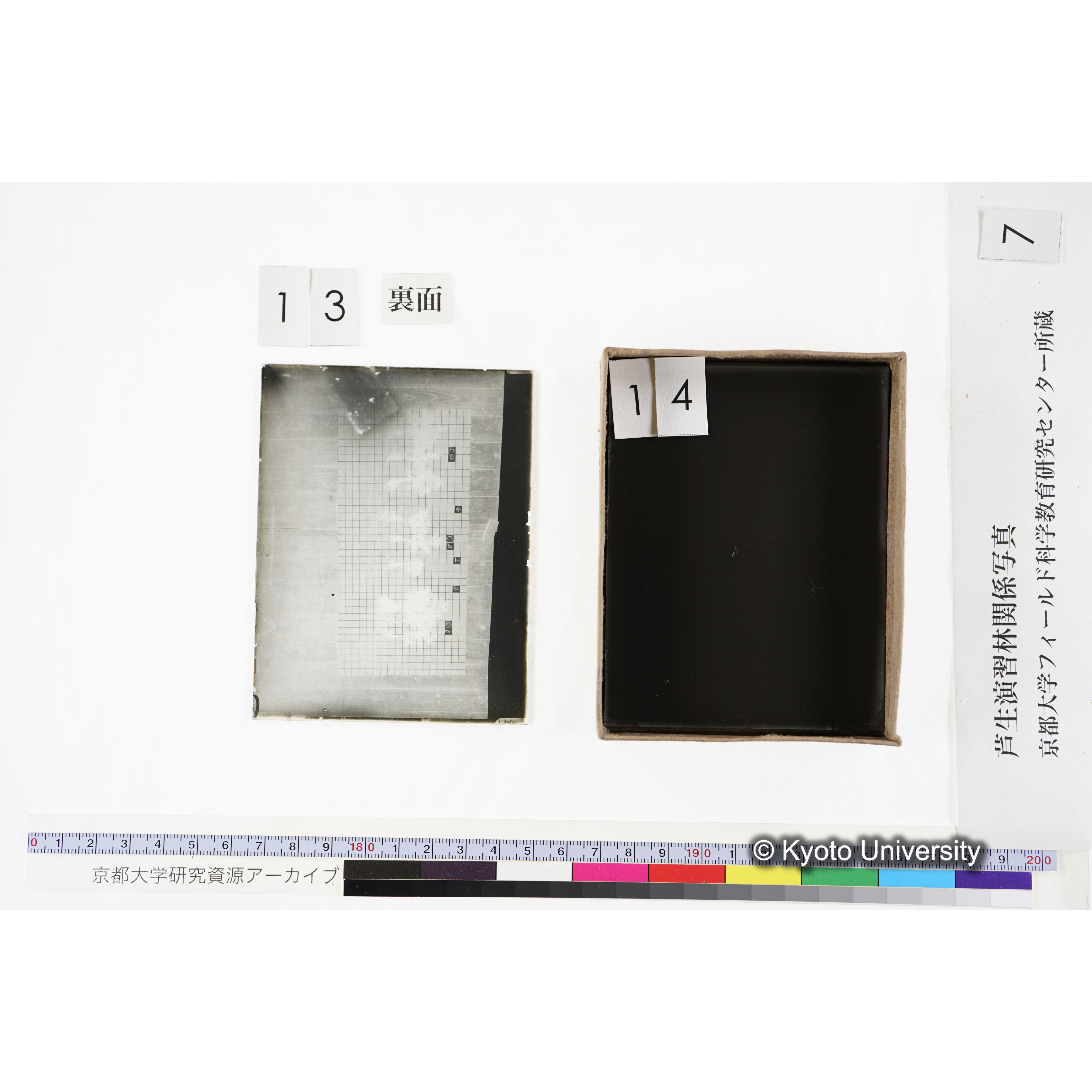 [箱]昭和廿六年度 須知苗圃施肥試験 一 (33)