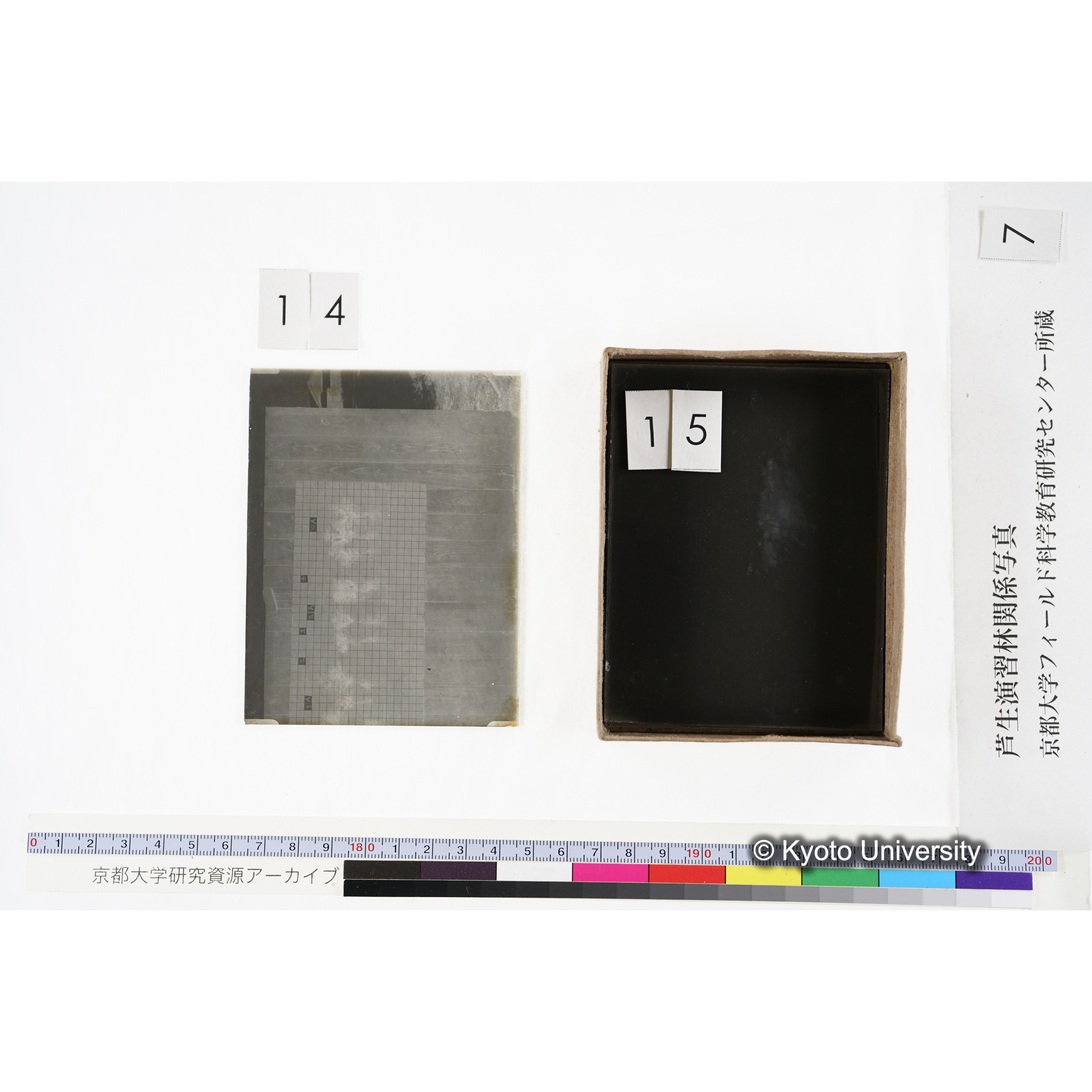 [箱]昭和廿六年度 須知苗圃施肥試験 一 (34)