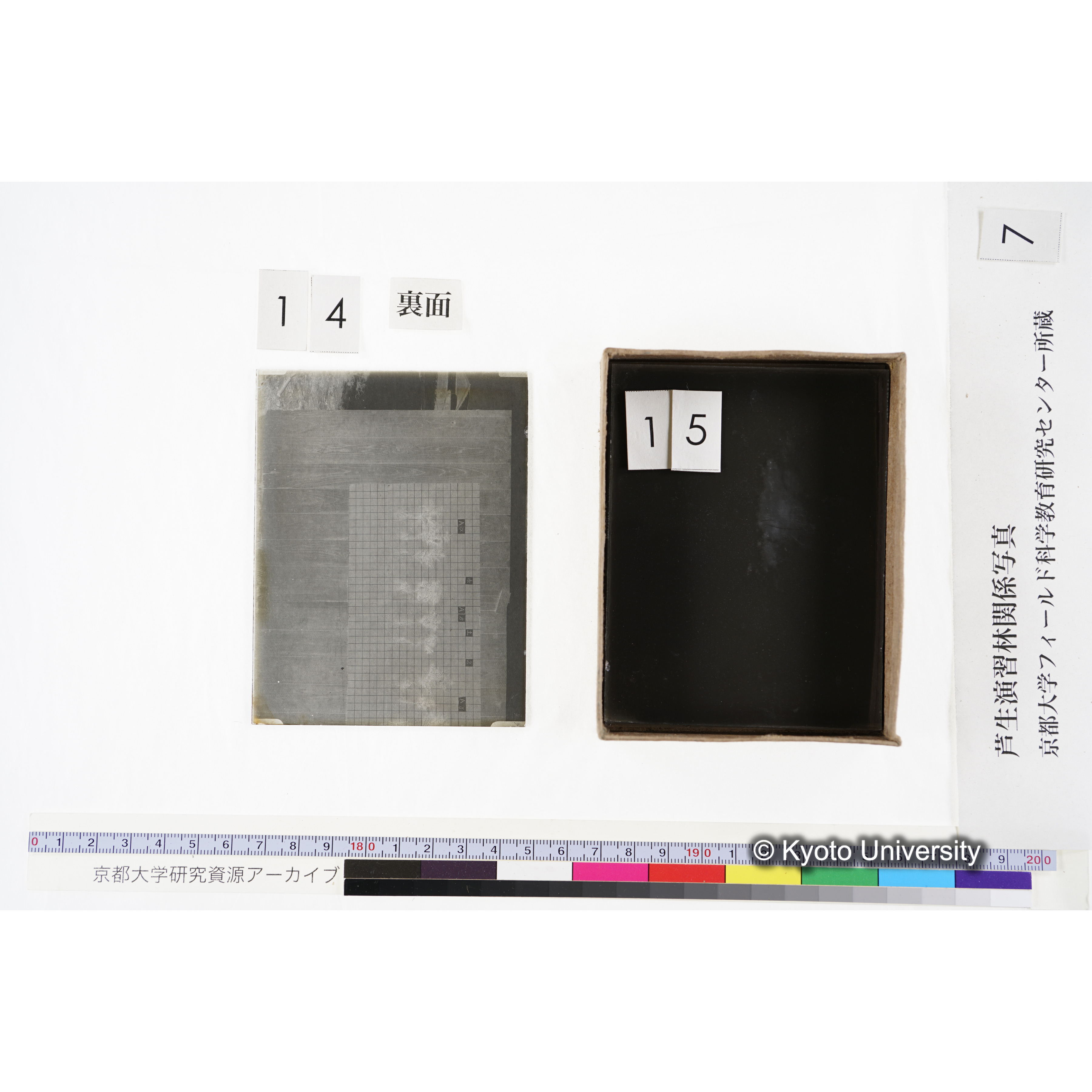 [箱]昭和廿六年度 須知苗圃施肥試験 一 (35)