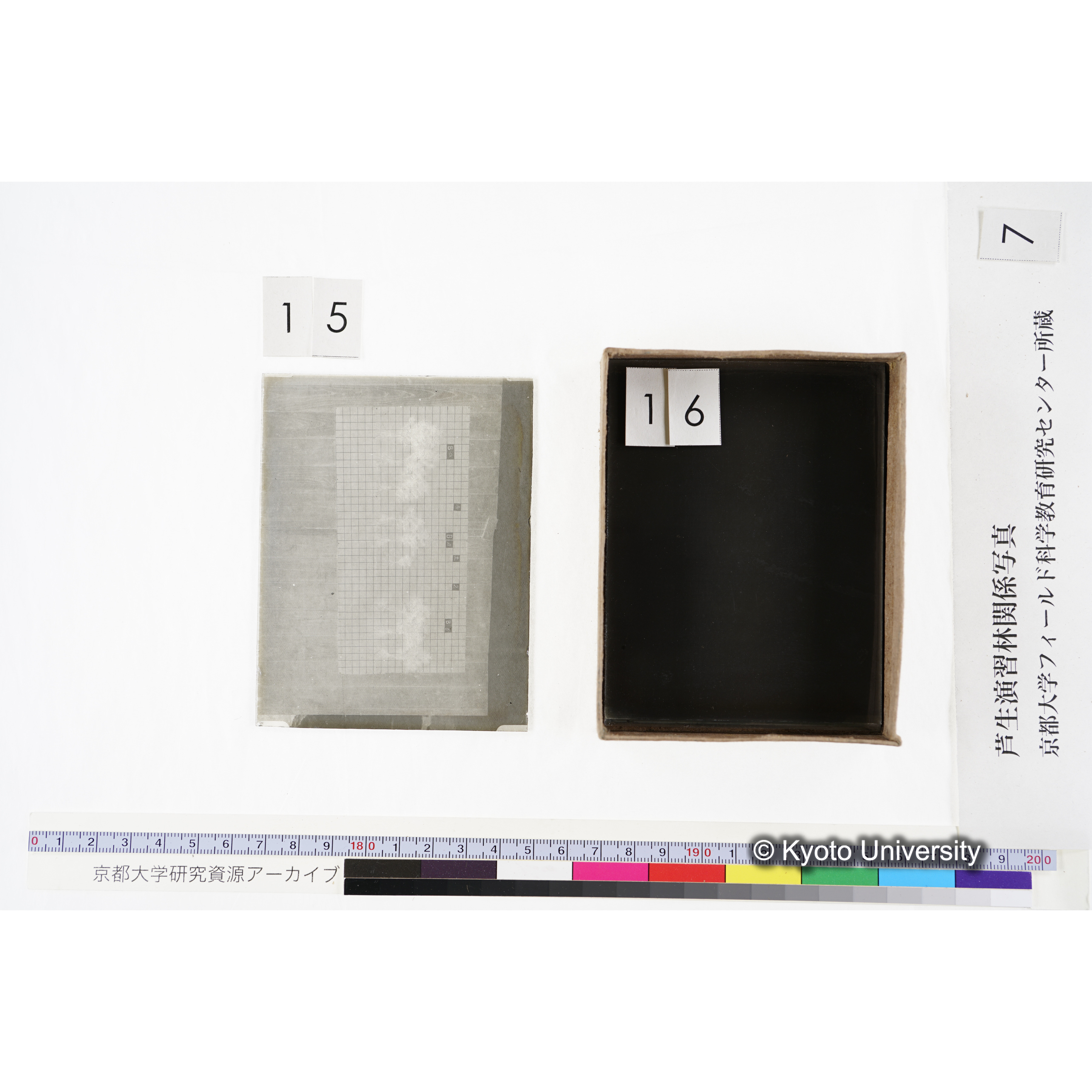 [箱]昭和廿六年度 須知苗圃施肥試験 一 (36)