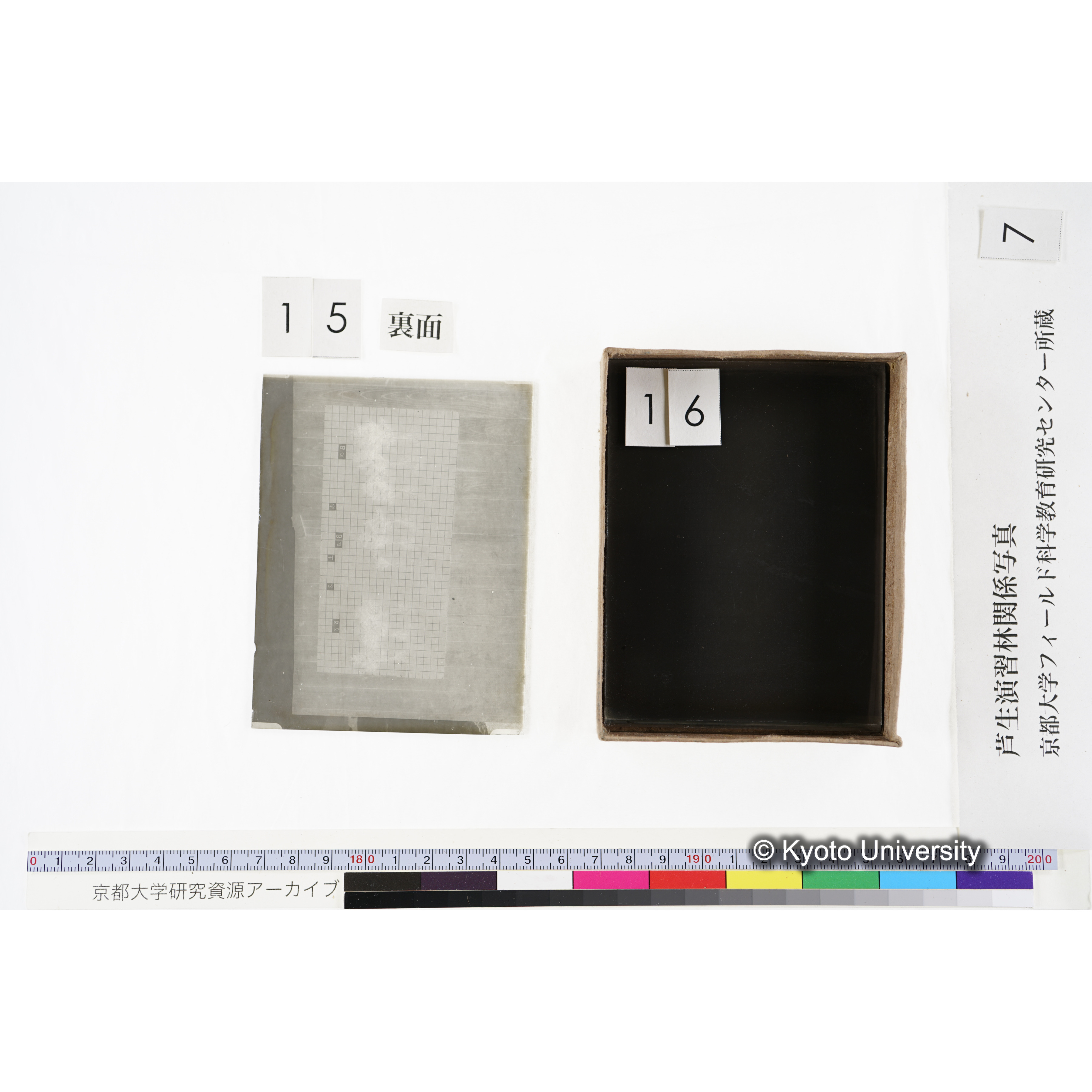 [箱]昭和廿六年度 須知苗圃施肥試験 一 (37)