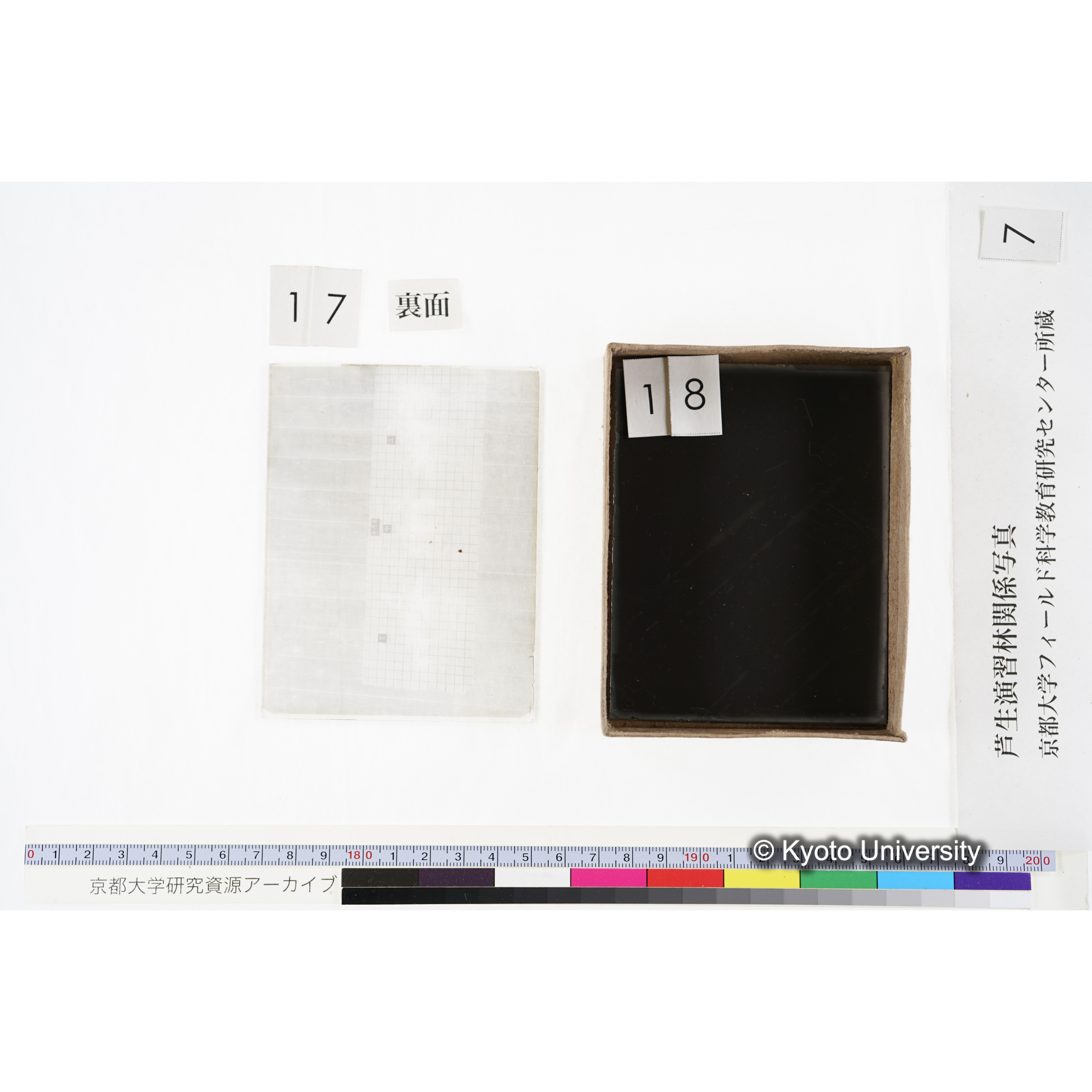 [箱]昭和廿六年度 須知苗圃施肥試験 一 (41)