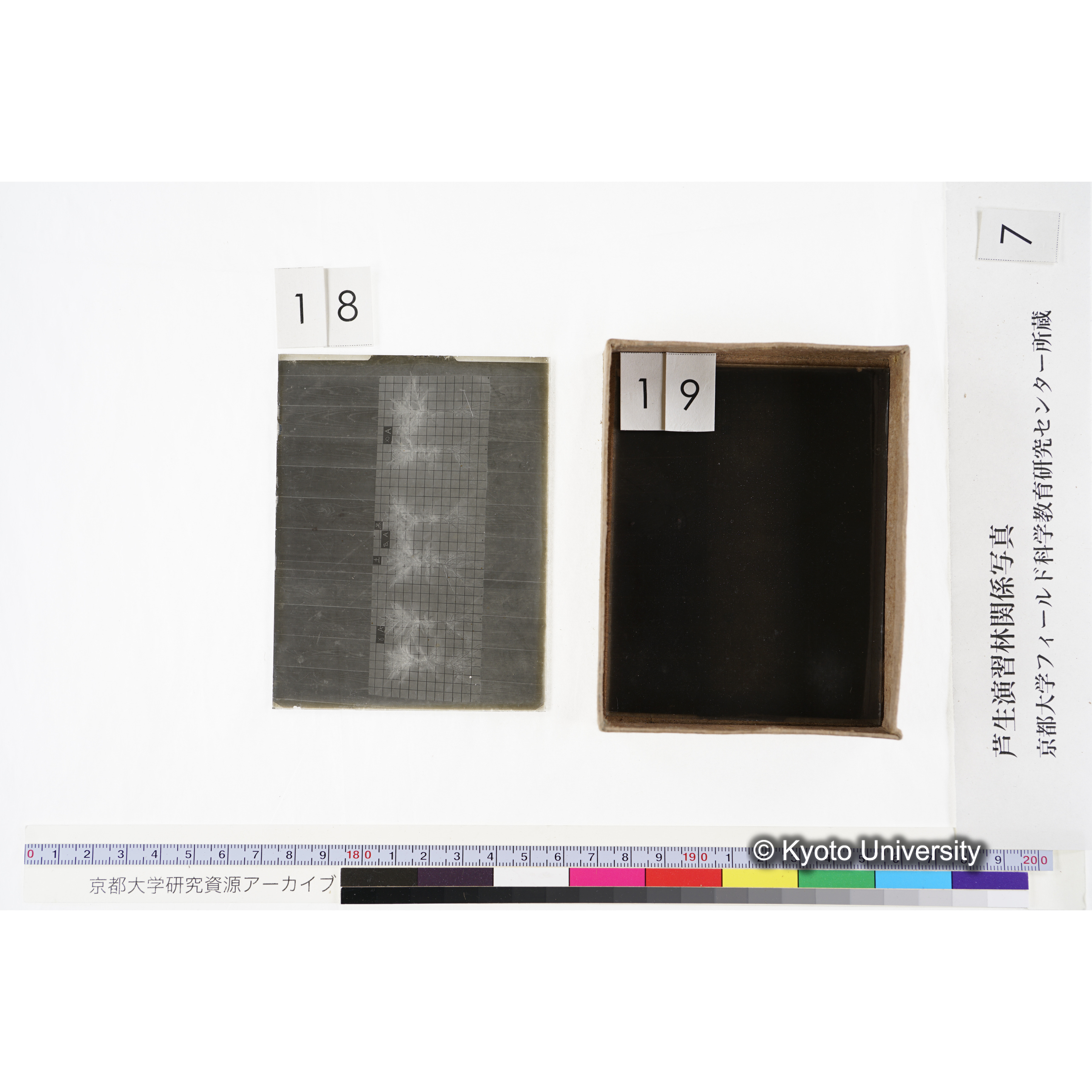 [箱]昭和廿六年度 須知苗圃施肥試験 一 (42)