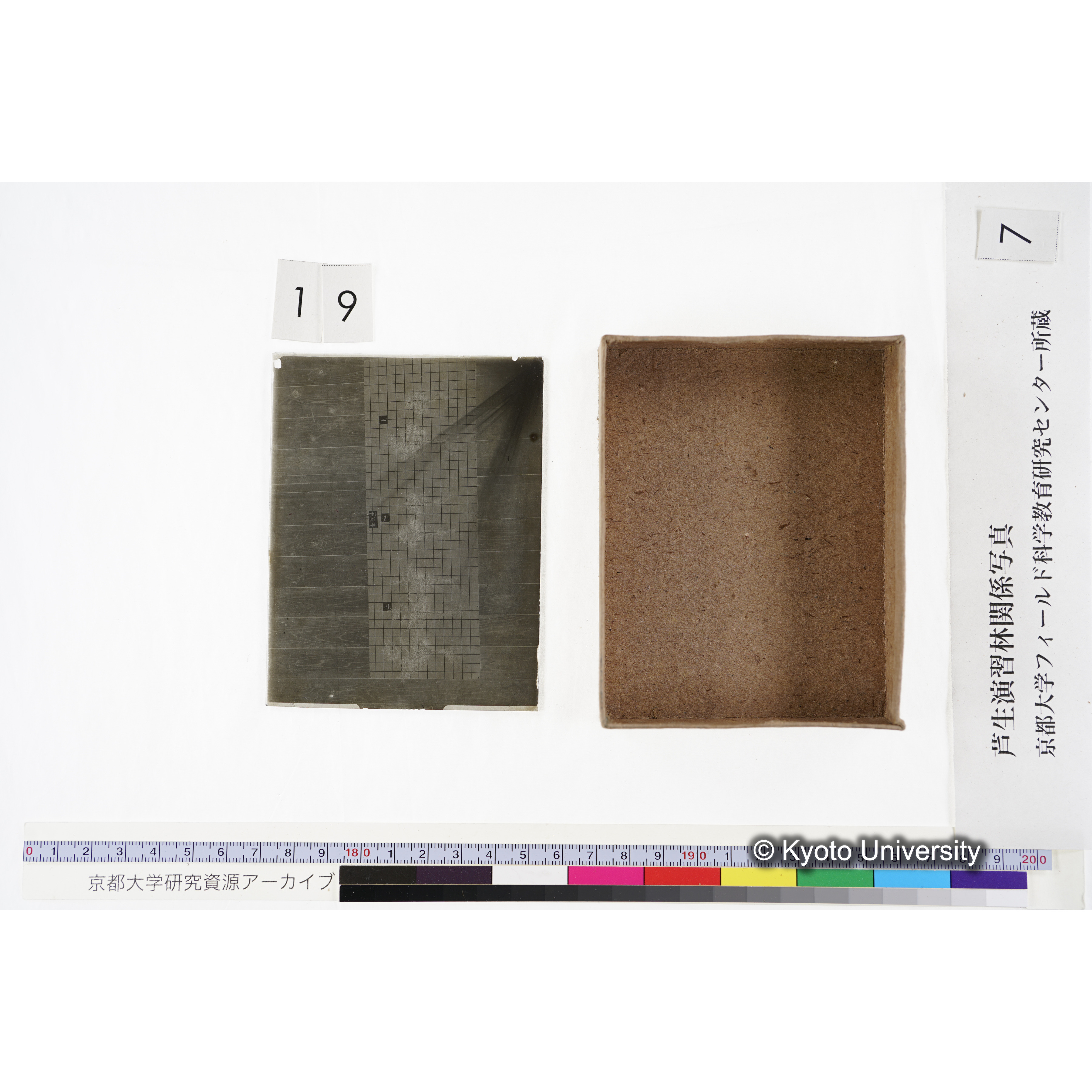 [箱]昭和廿六年度 須知苗圃施肥試験 一 (44)