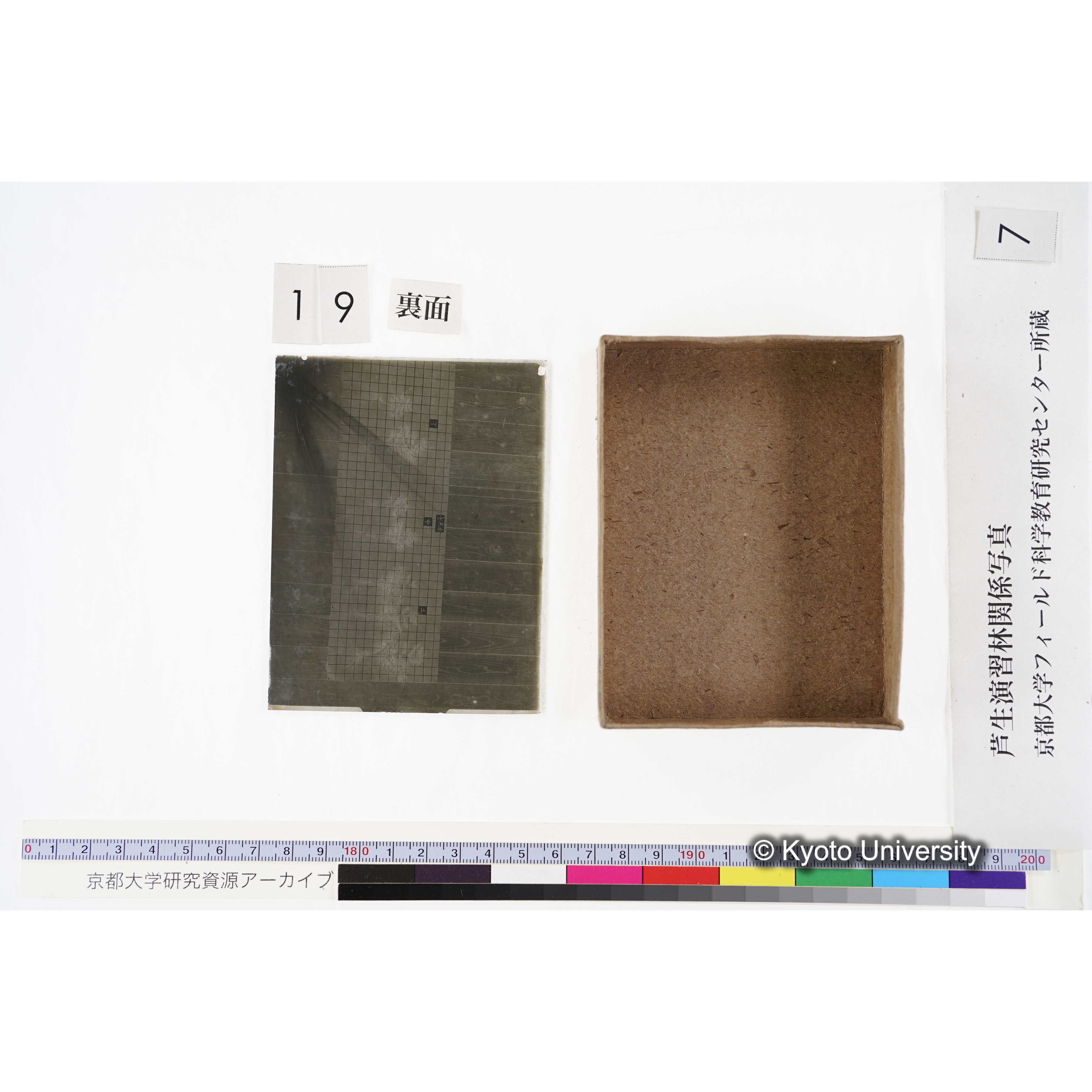 [箱]昭和廿六年度 須知苗圃施肥試験 一 (45)