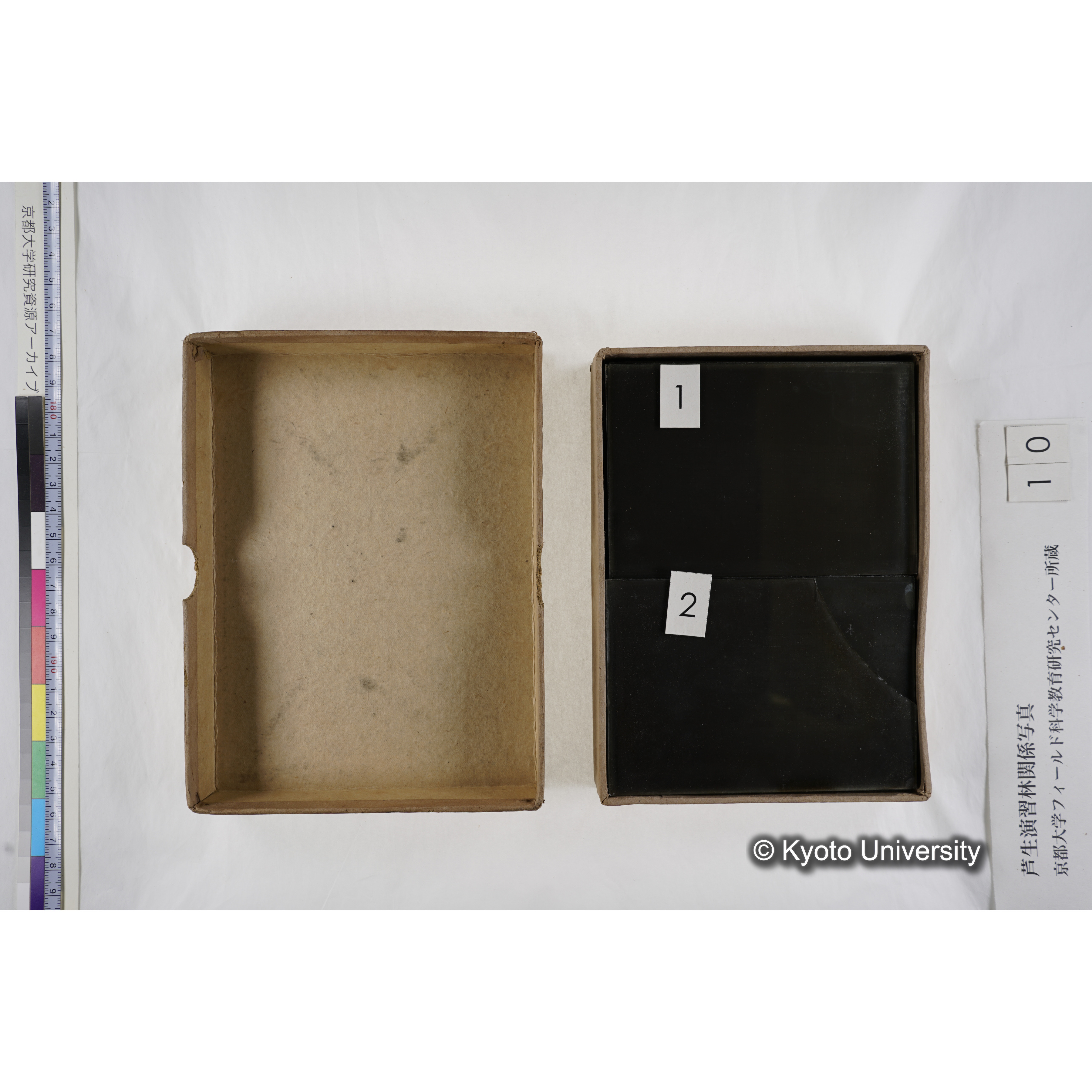 [箱]昭和廿六年度 須知苗圃施肥試験（二） (6)