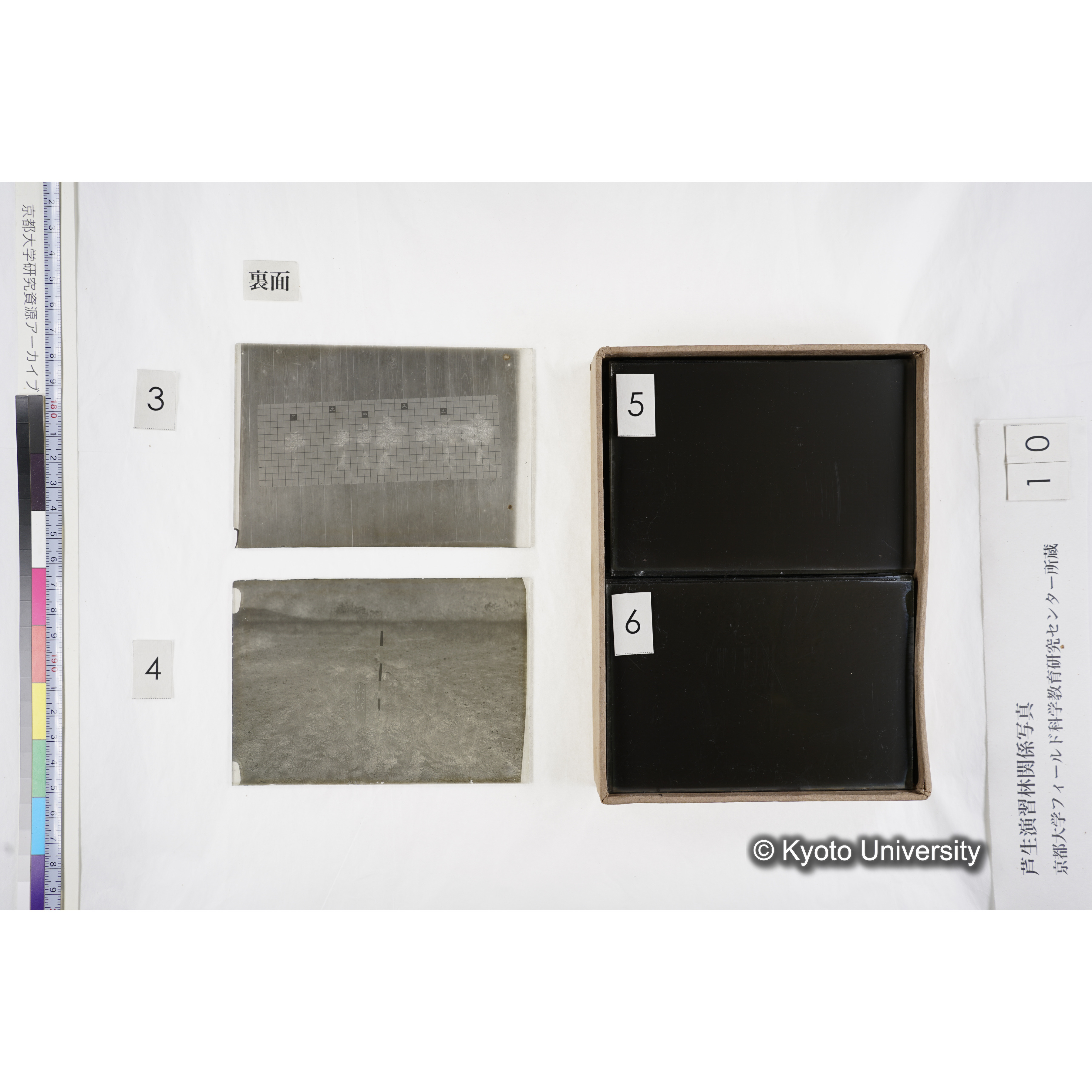 [箱]昭和廿六年度 須知苗圃施肥試験（二） (8)