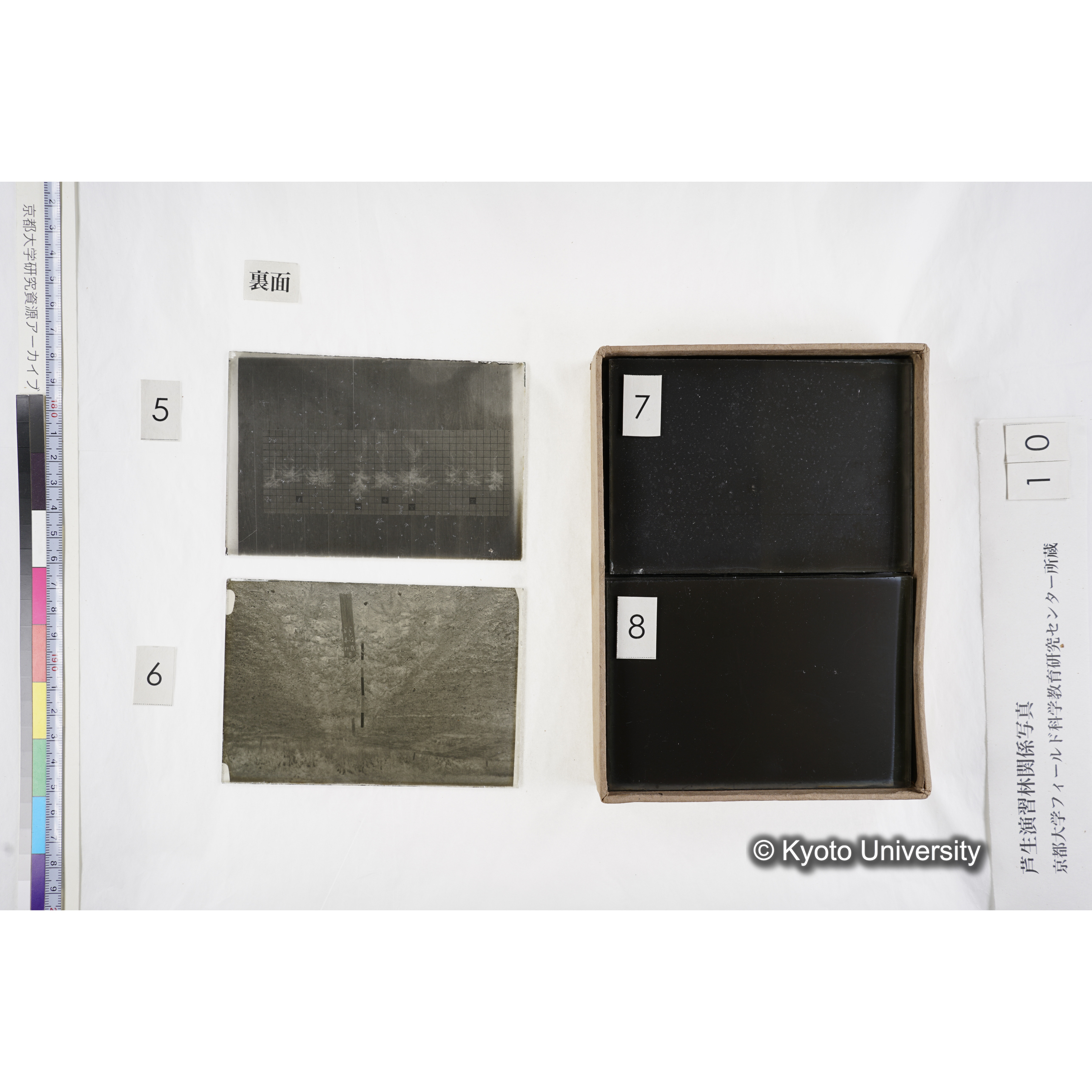 [箱]昭和廿六年度 須知苗圃施肥試験（二） (9)