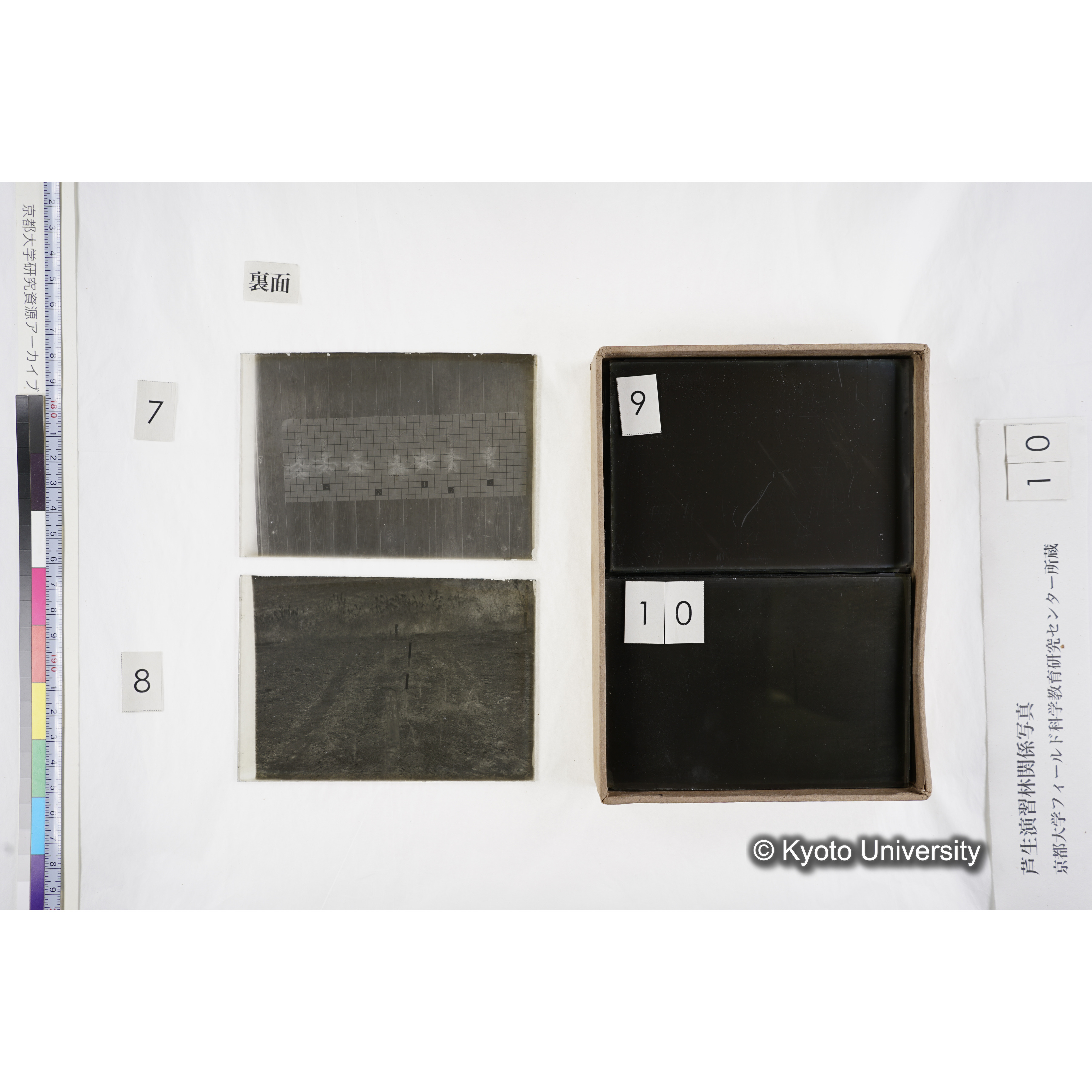 [箱]昭和廿六年度 須知苗圃施肥試験（二） (10)