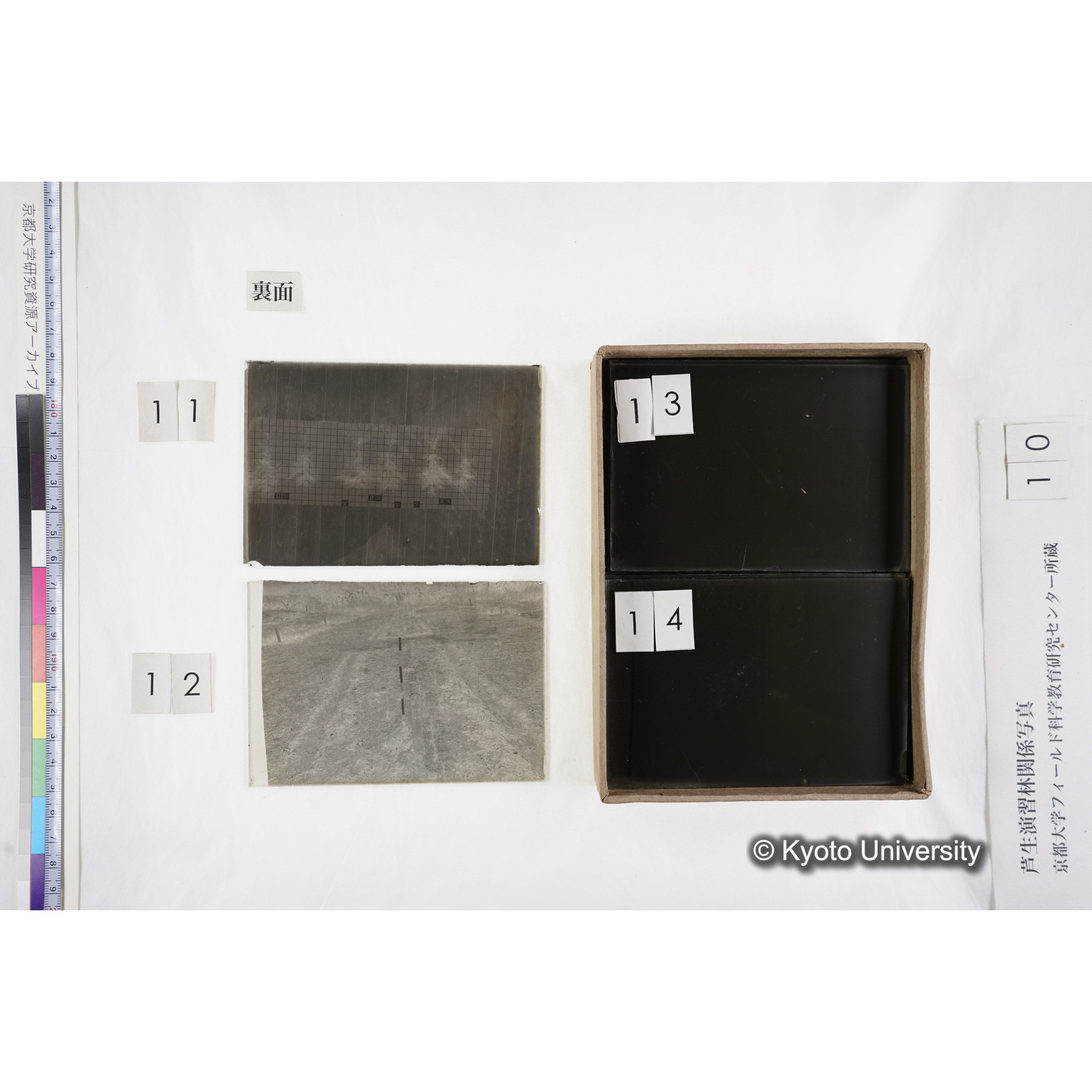 [箱]昭和廿六年度 須知苗圃施肥試験（二） (12)