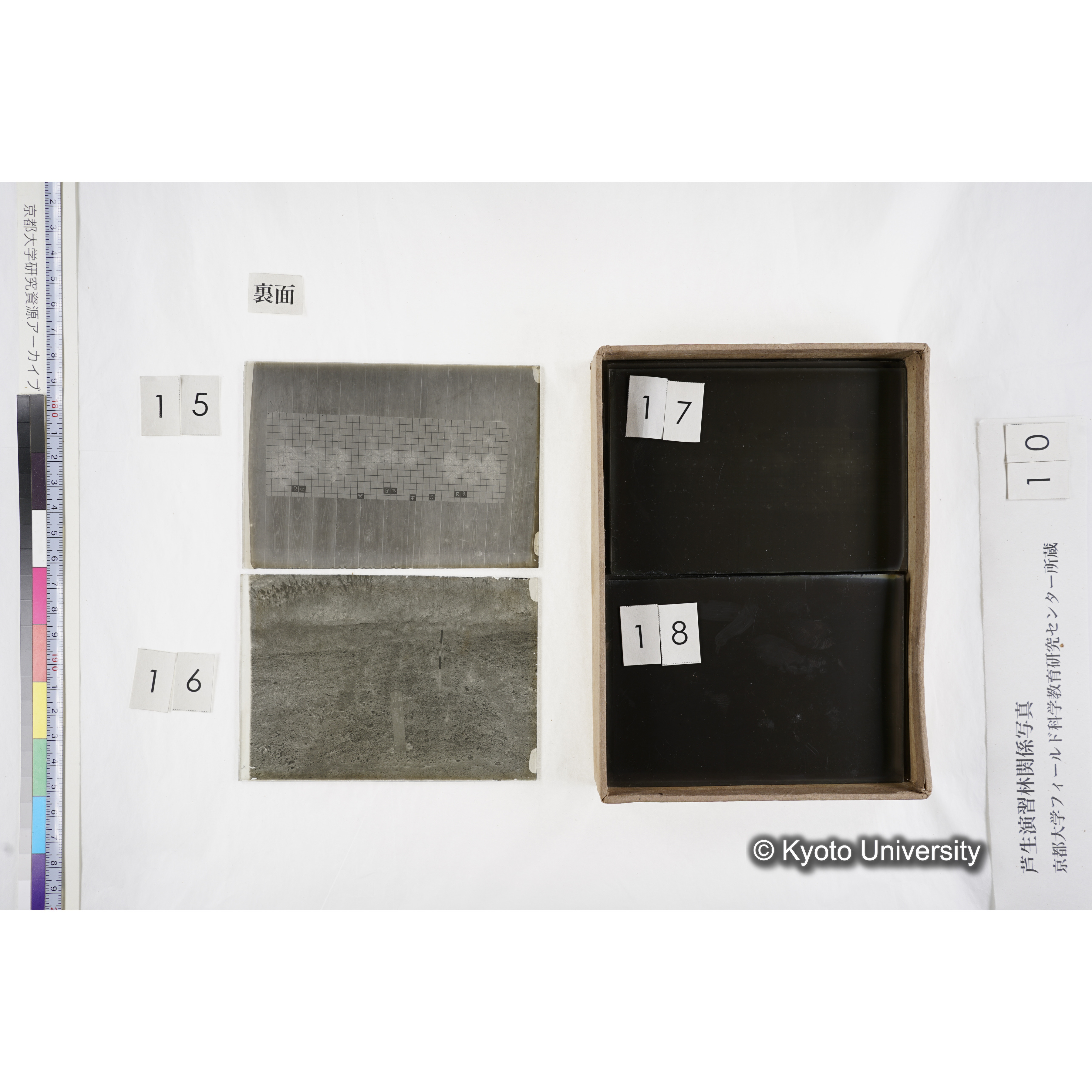 [箱]昭和廿六年度 須知苗圃施肥試験（二） (14)