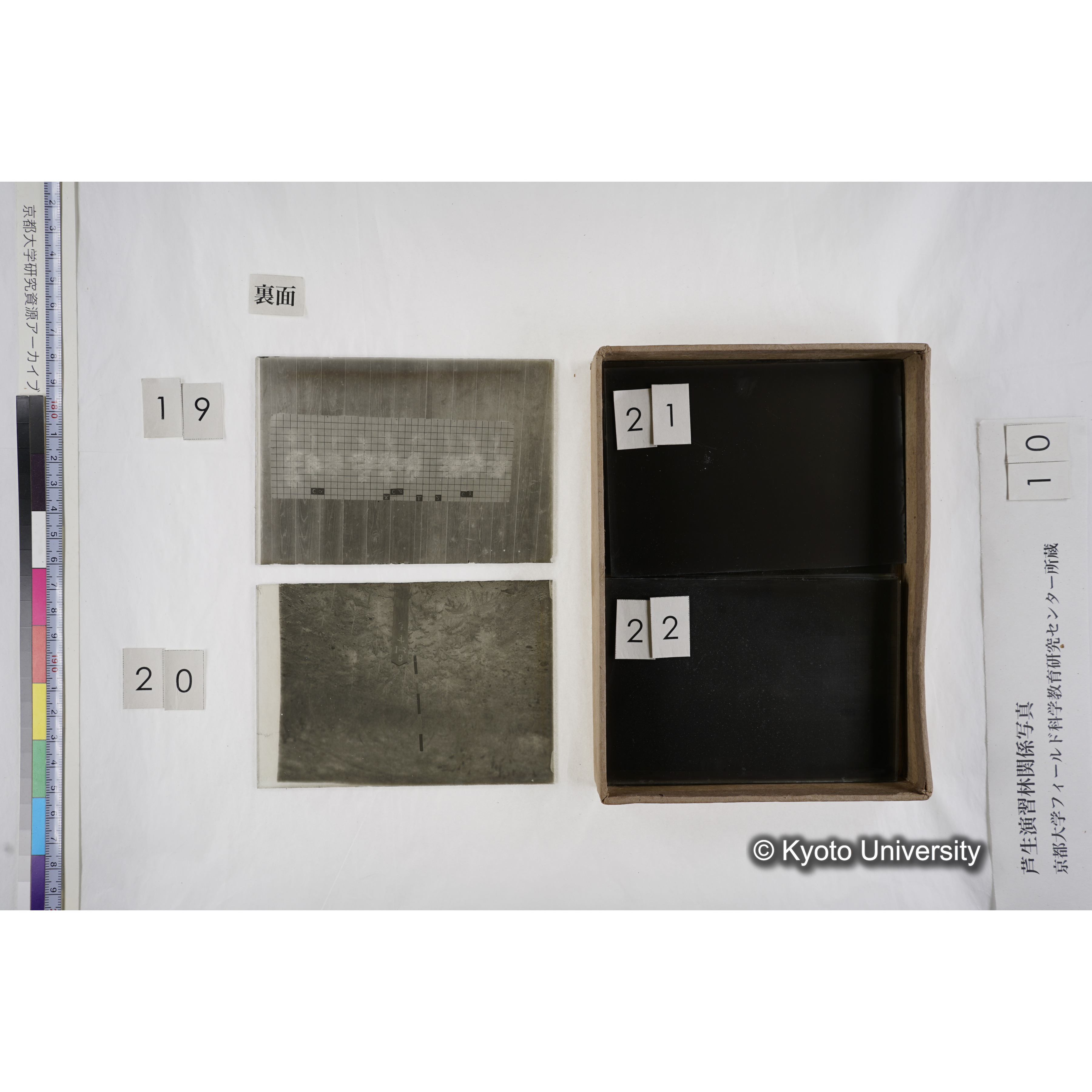 [箱]昭和廿六年度 須知苗圃施肥試験（二） (16)