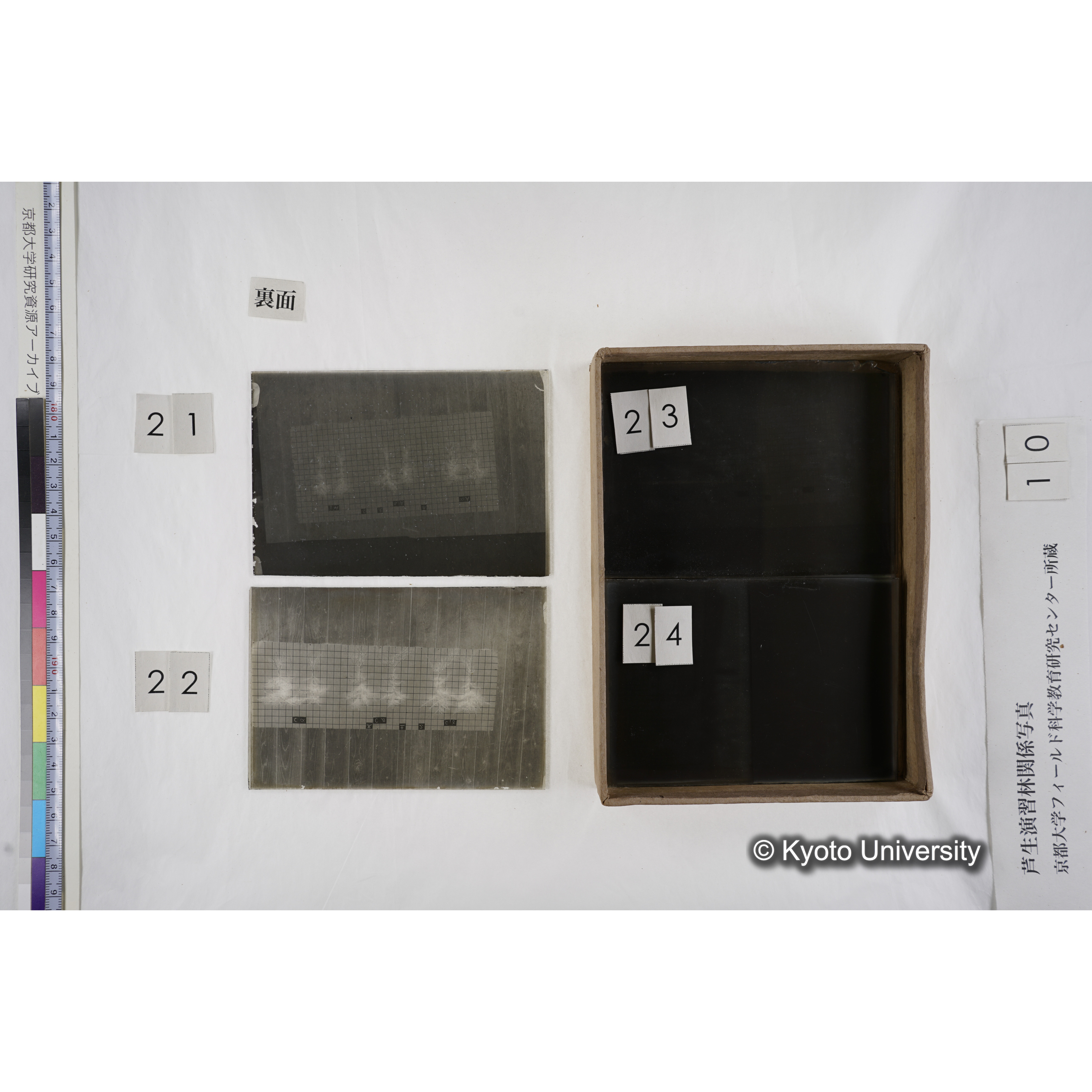 [箱]昭和廿六年度 須知苗圃施肥試験（二） (17)