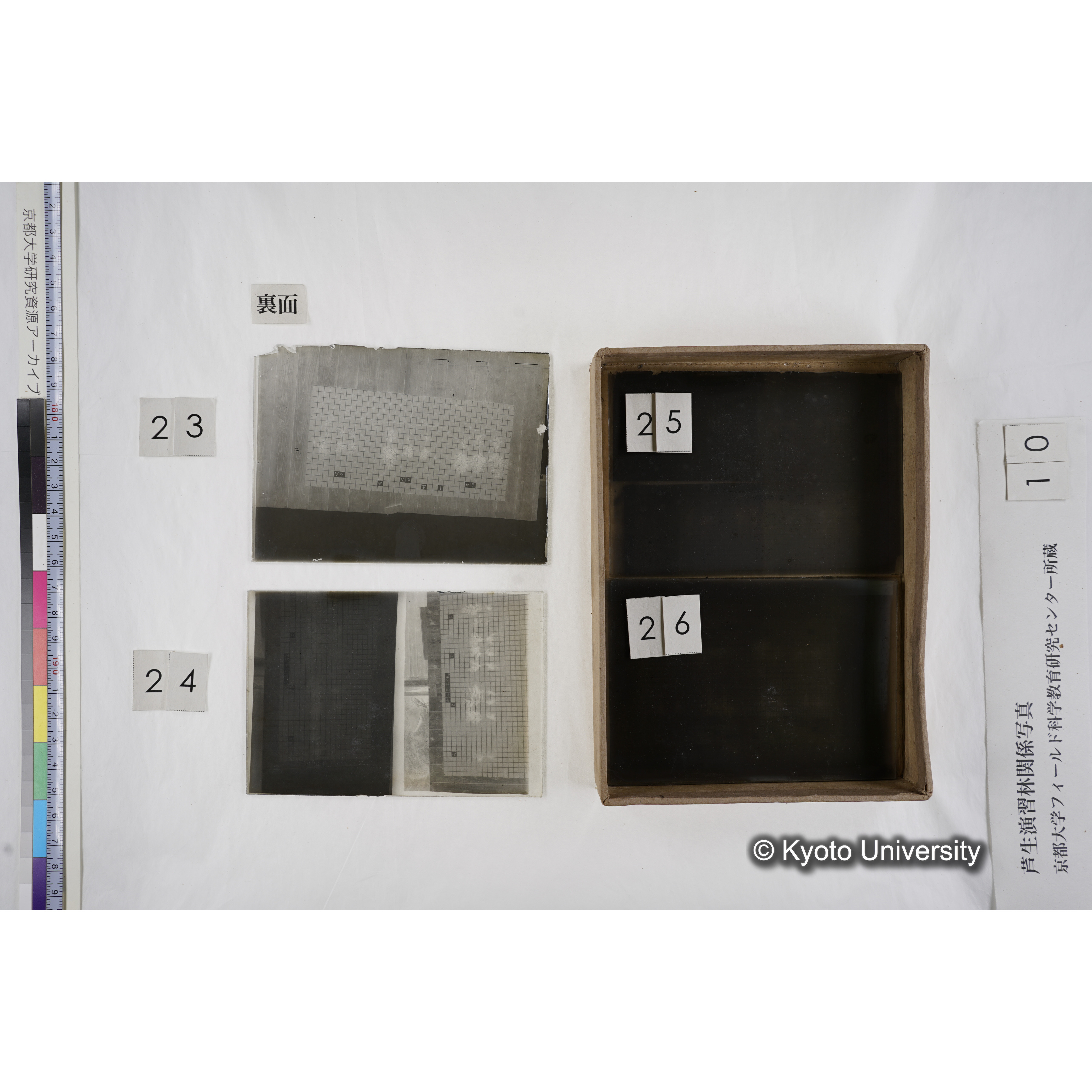 [箱]昭和廿六年度 須知苗圃施肥試験（二） (18)