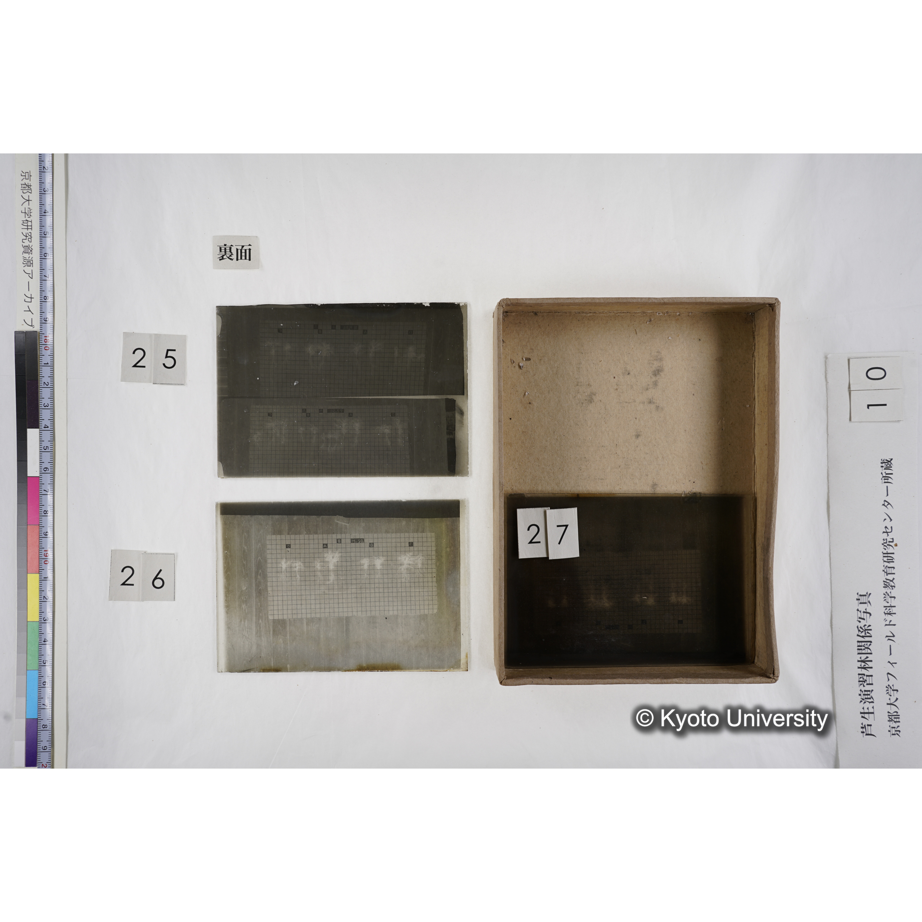 [箱]昭和廿六年度 須知苗圃施肥試験（二） (19)