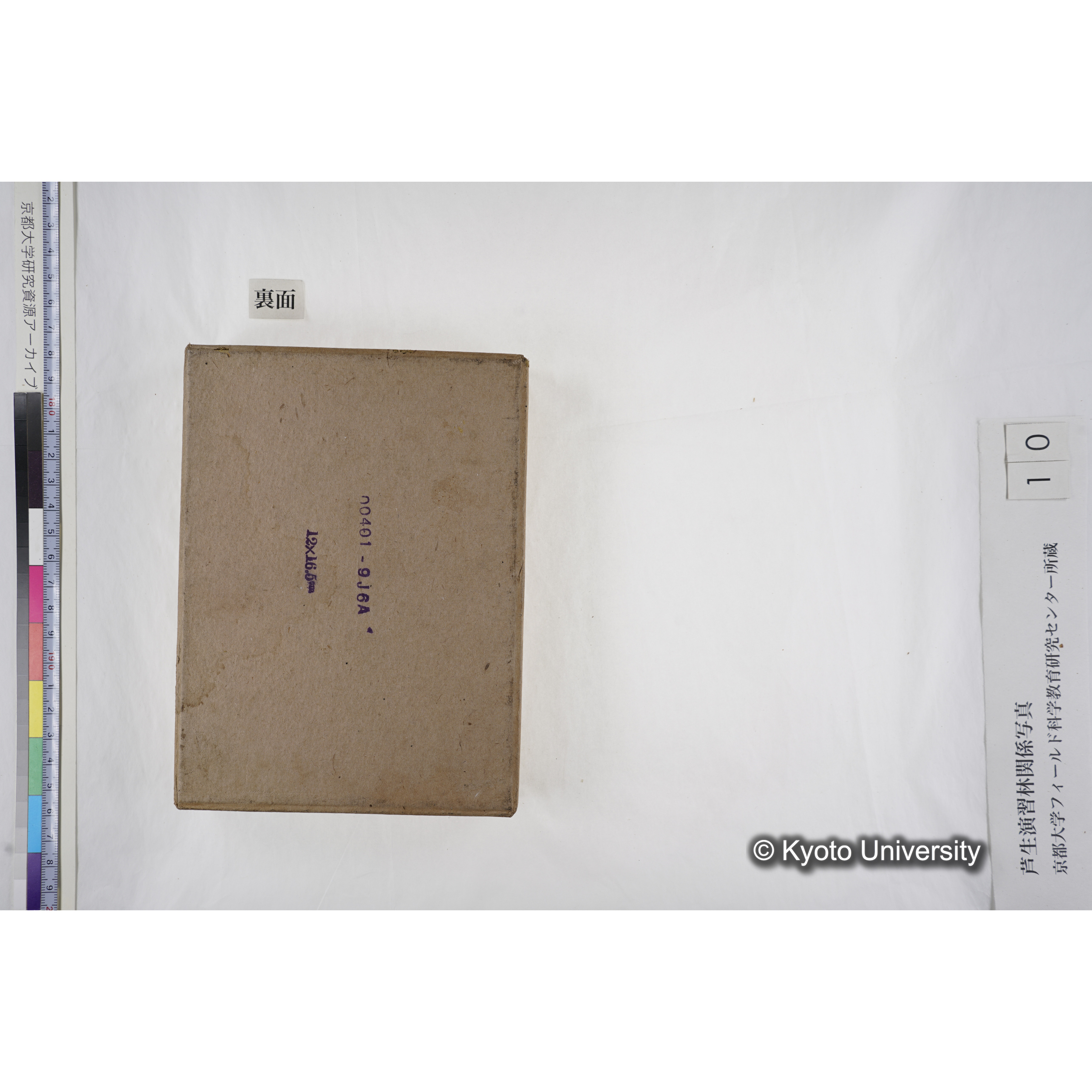 [箱]昭和廿六年度 須知苗圃施肥試験（二） (21)