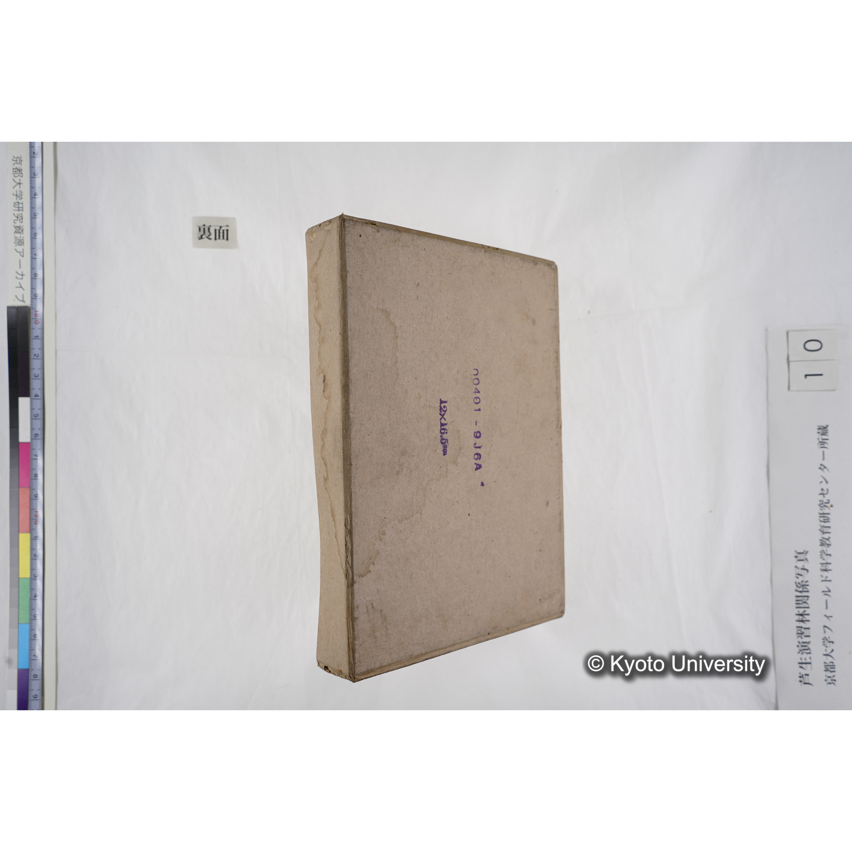 [箱]昭和廿六年度 須知苗圃施肥試験（二） (22)