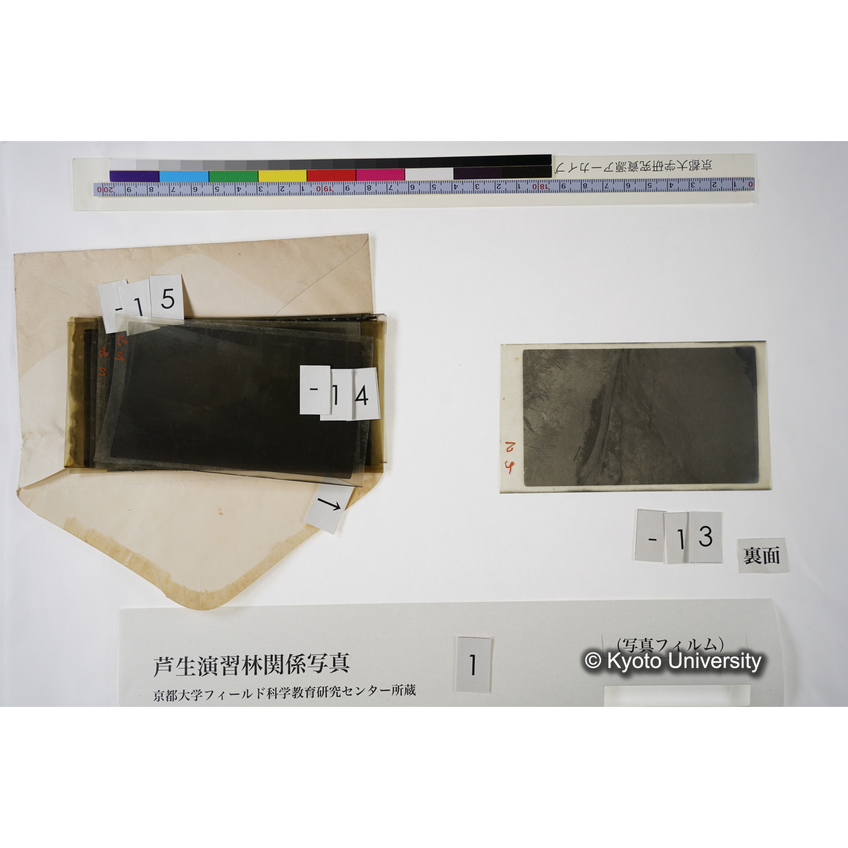 ＜河原集材＞ (2)