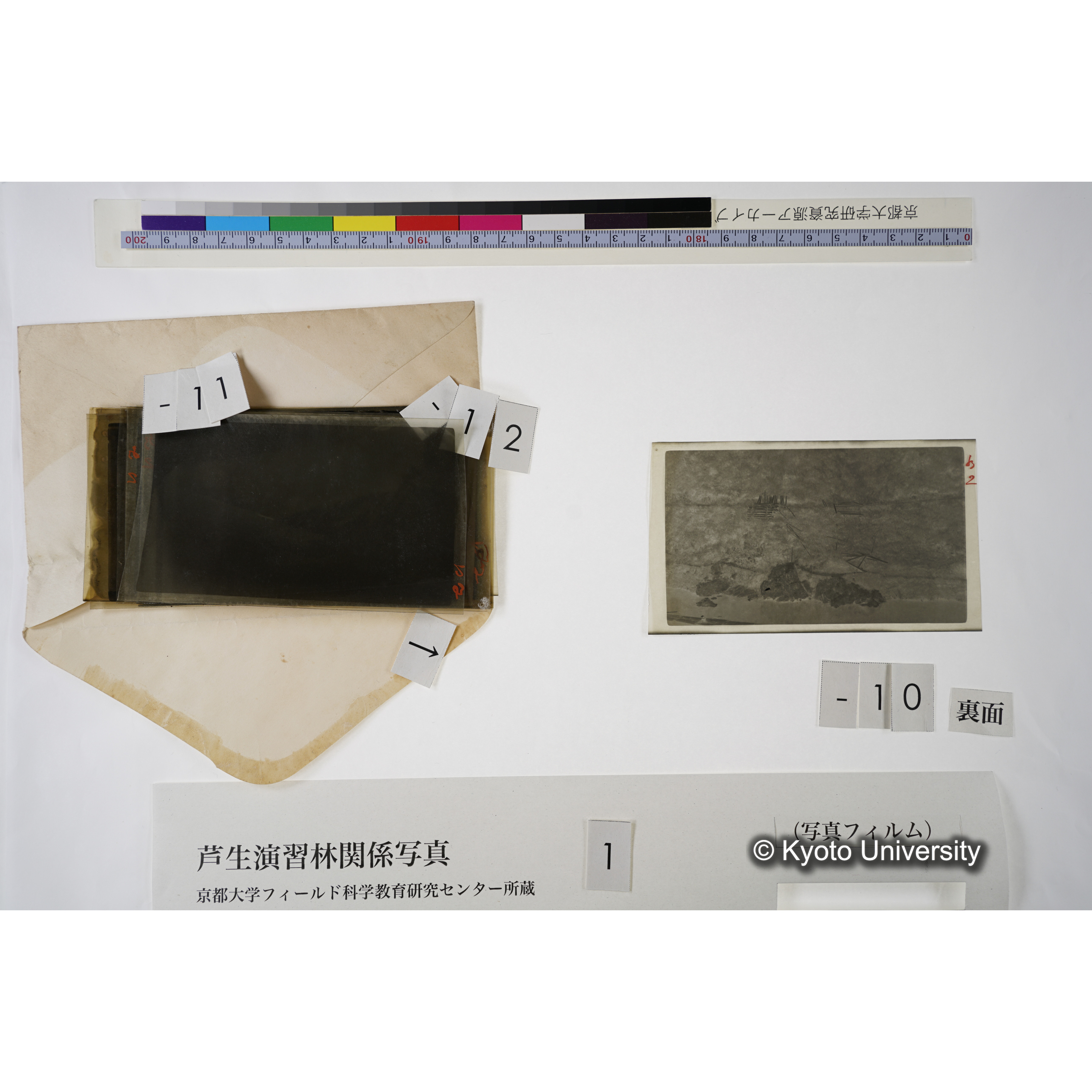 ＜河原集材＞ (2)