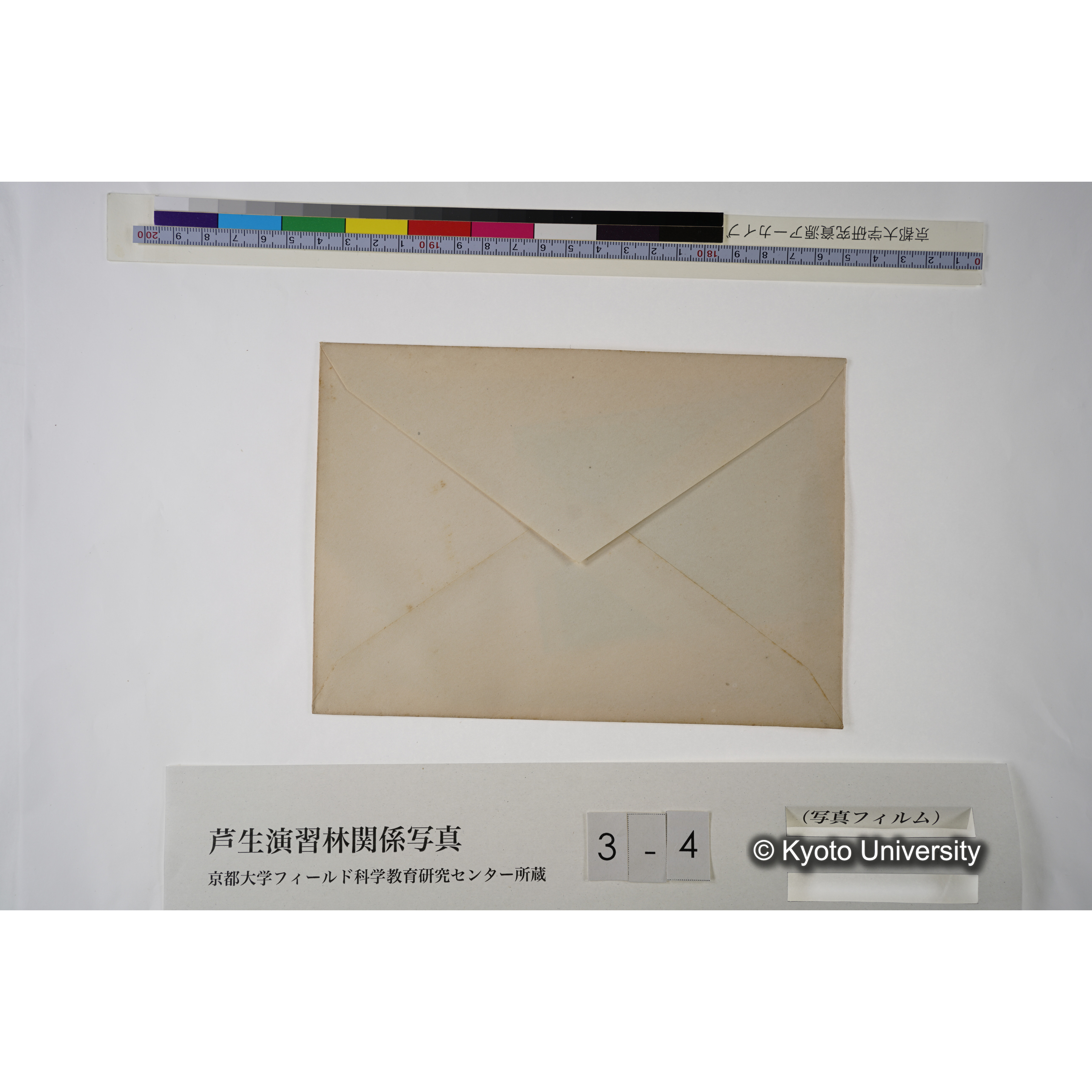 内杉小屋.（寄生植物）. (2)