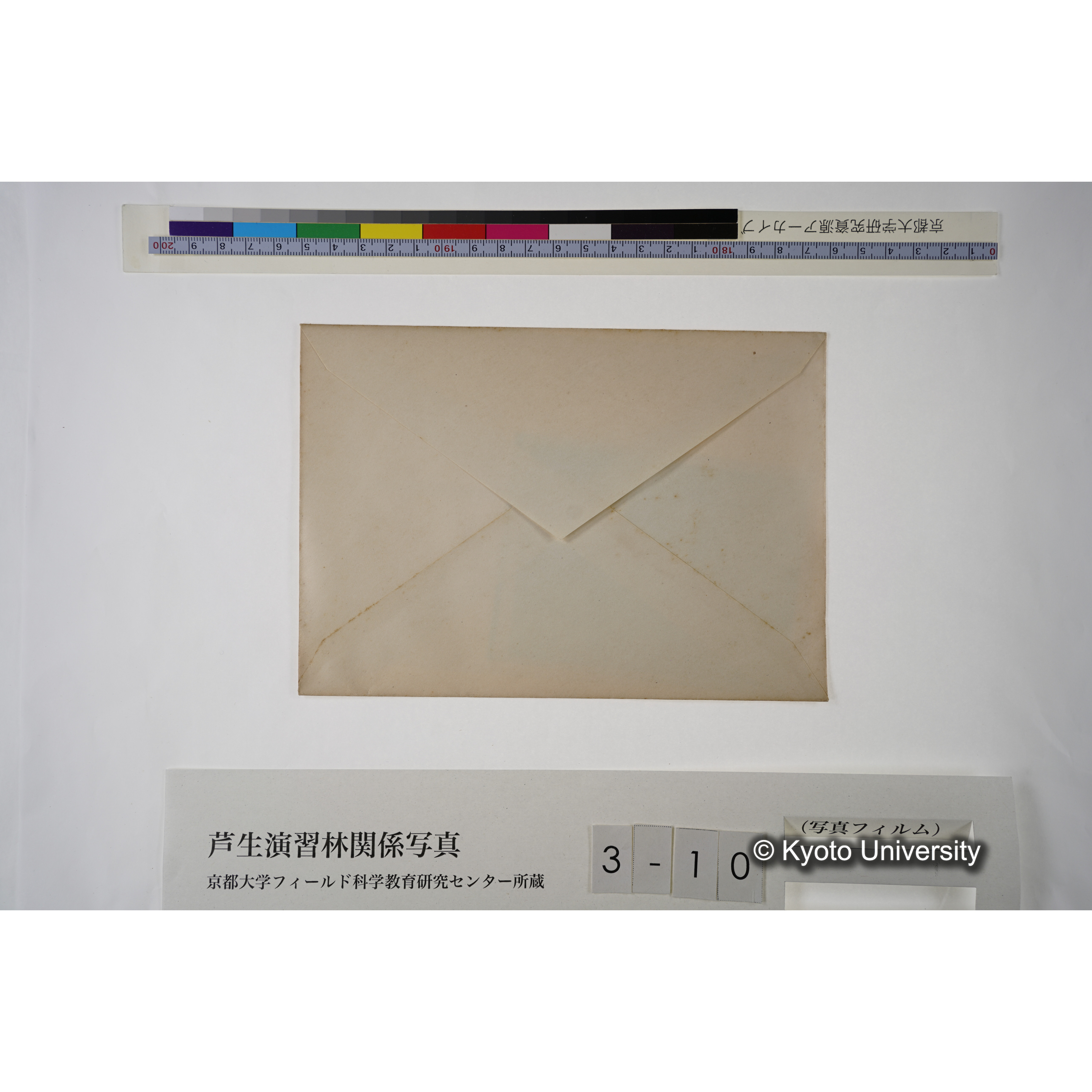 ブナ坂（ブナノ巻枯ニ附着セルPilz.） (2)