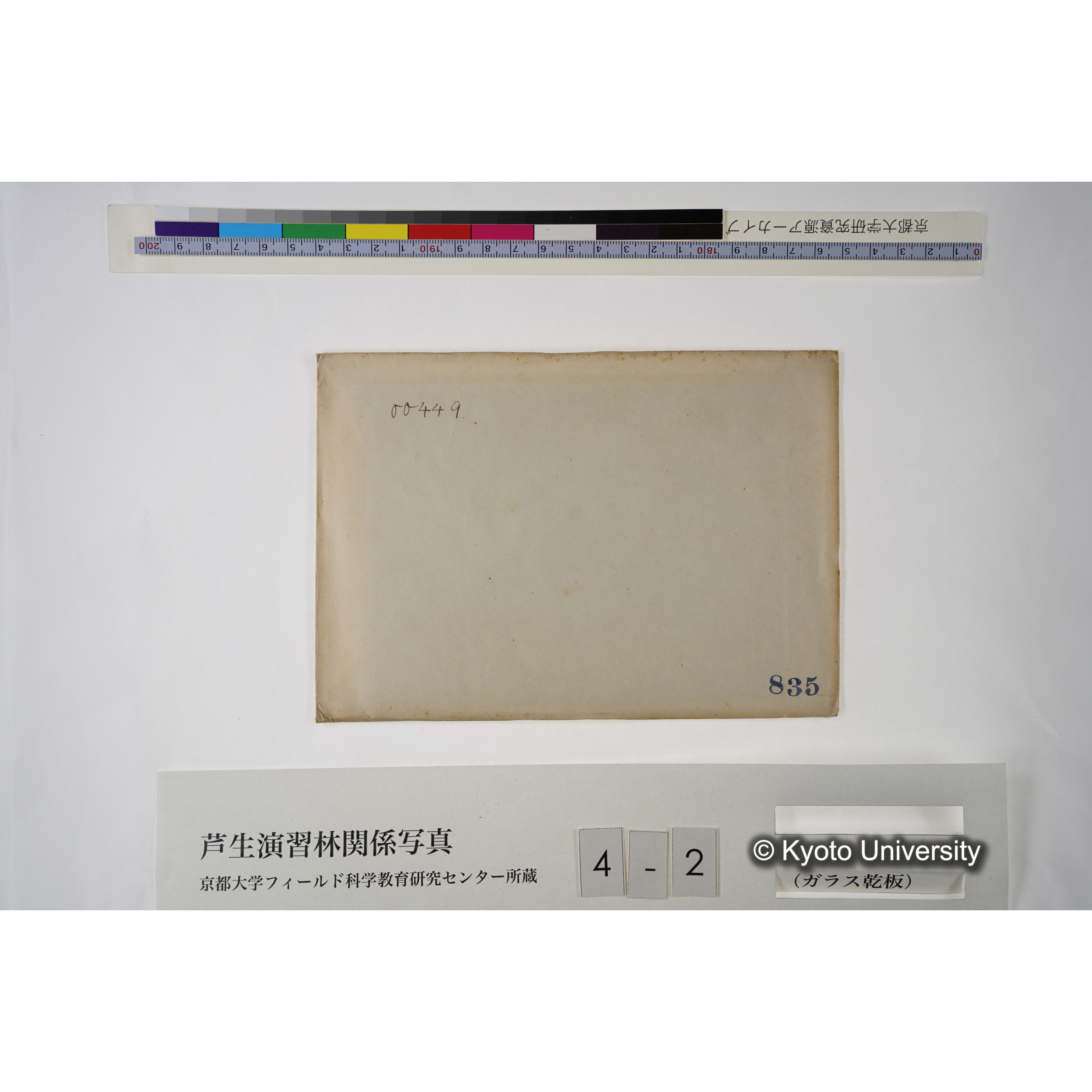 (スタンプ)「835」, (ペン書き)「00449」. [木の年輪の模型か.] (2)