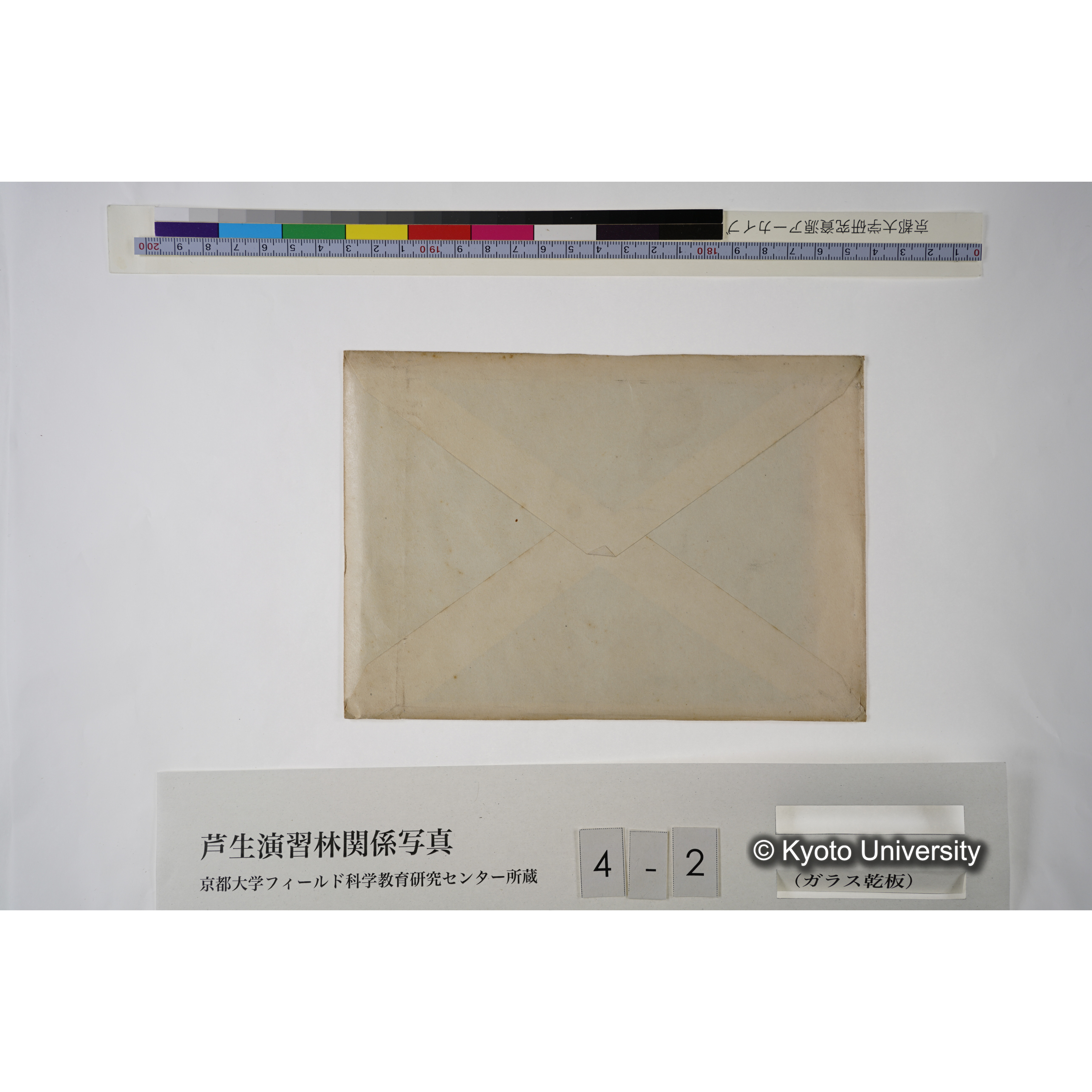 (スタンプ)「835」, (ペン書き)「00449」. [木の年輪の模型か.] (3)