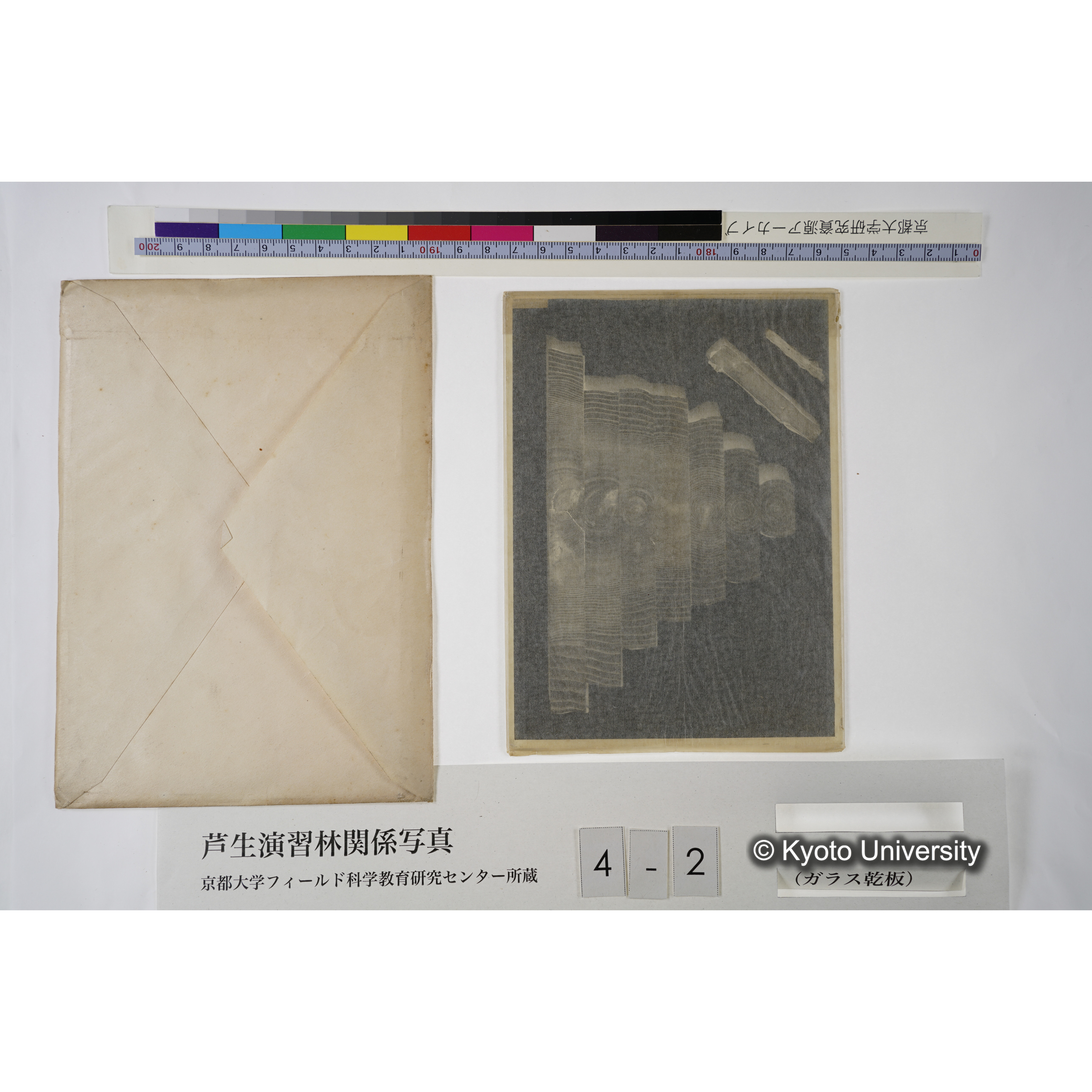 (スタンプ)「835」, (ペン書き)「00449」. [木の年輪の模型か.] (4)